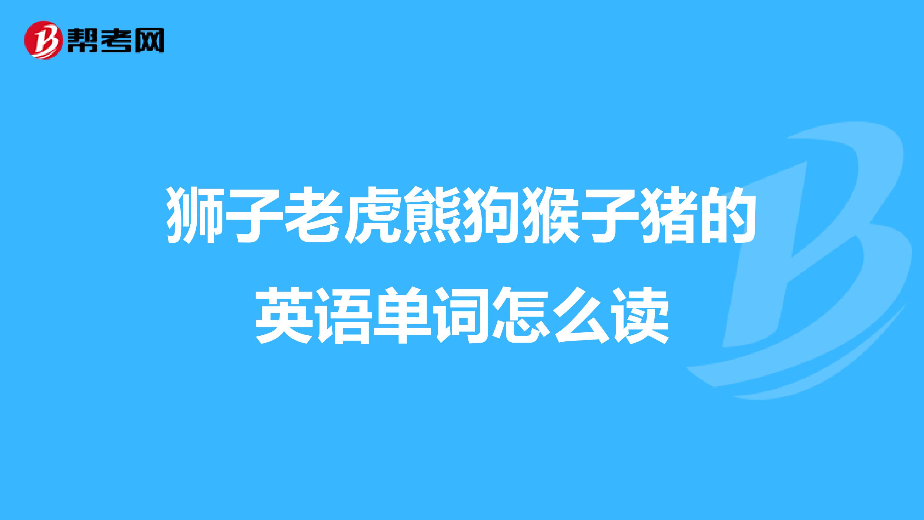 狮子老虎熊狗猴子猪的英语单词怎么读