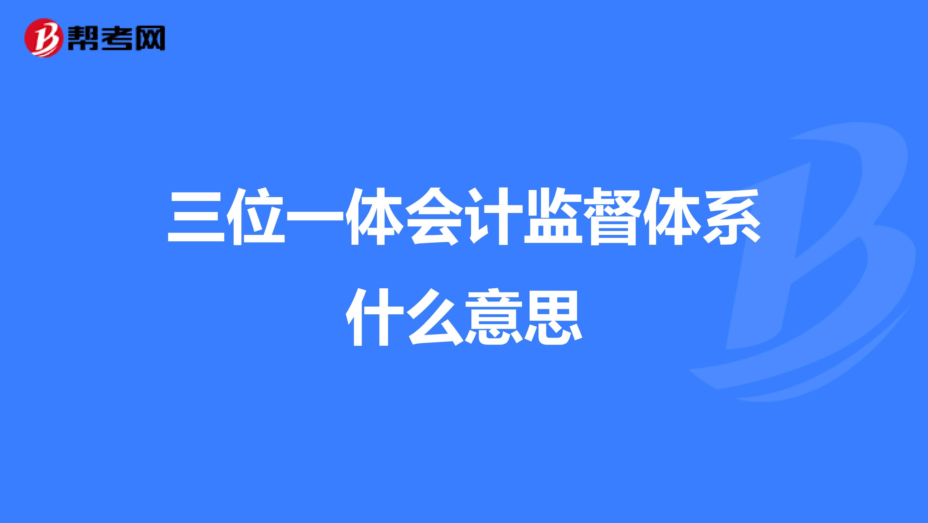 三位一体会计监督体系什么意思