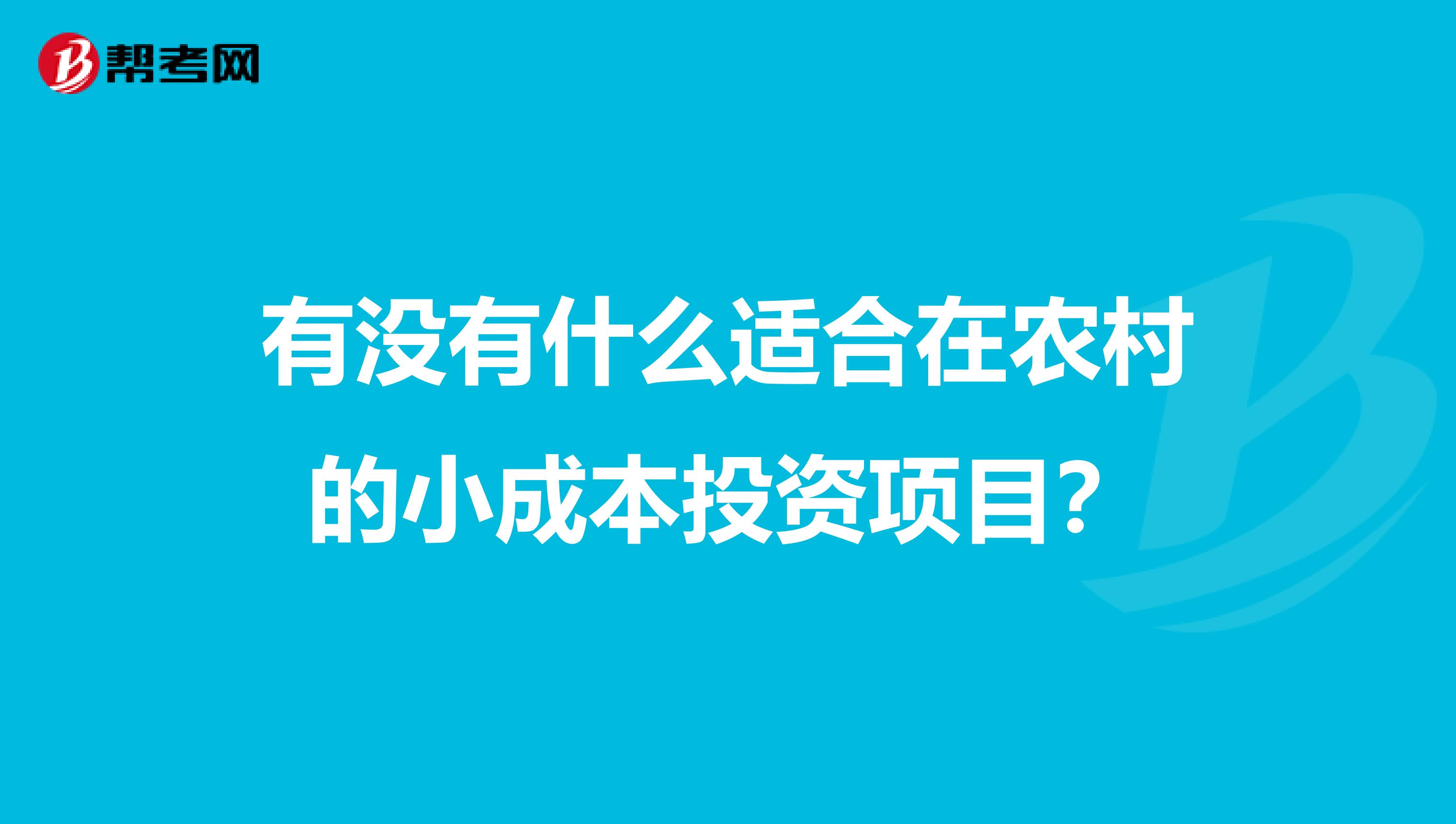 有没有什么适合在农村的小成本投资项目?