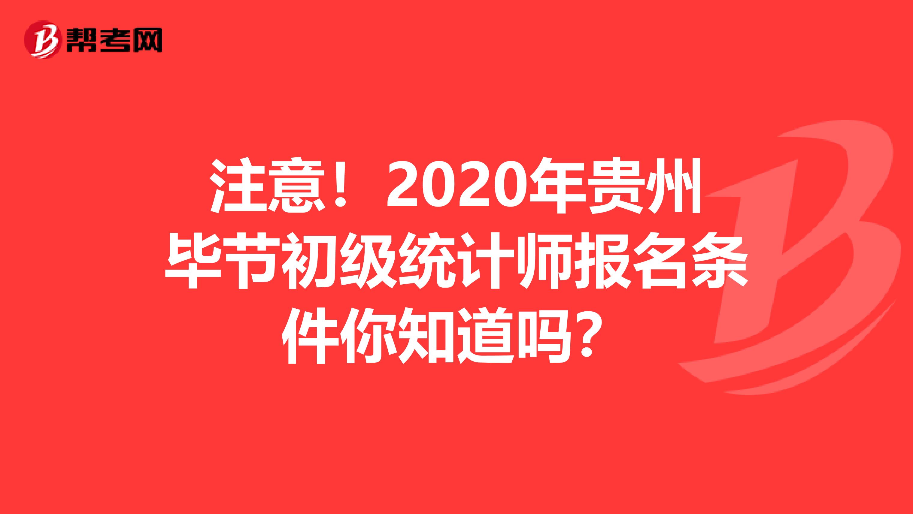 注意！2020年贵州毕节初级统计师报名条件你知道吗？