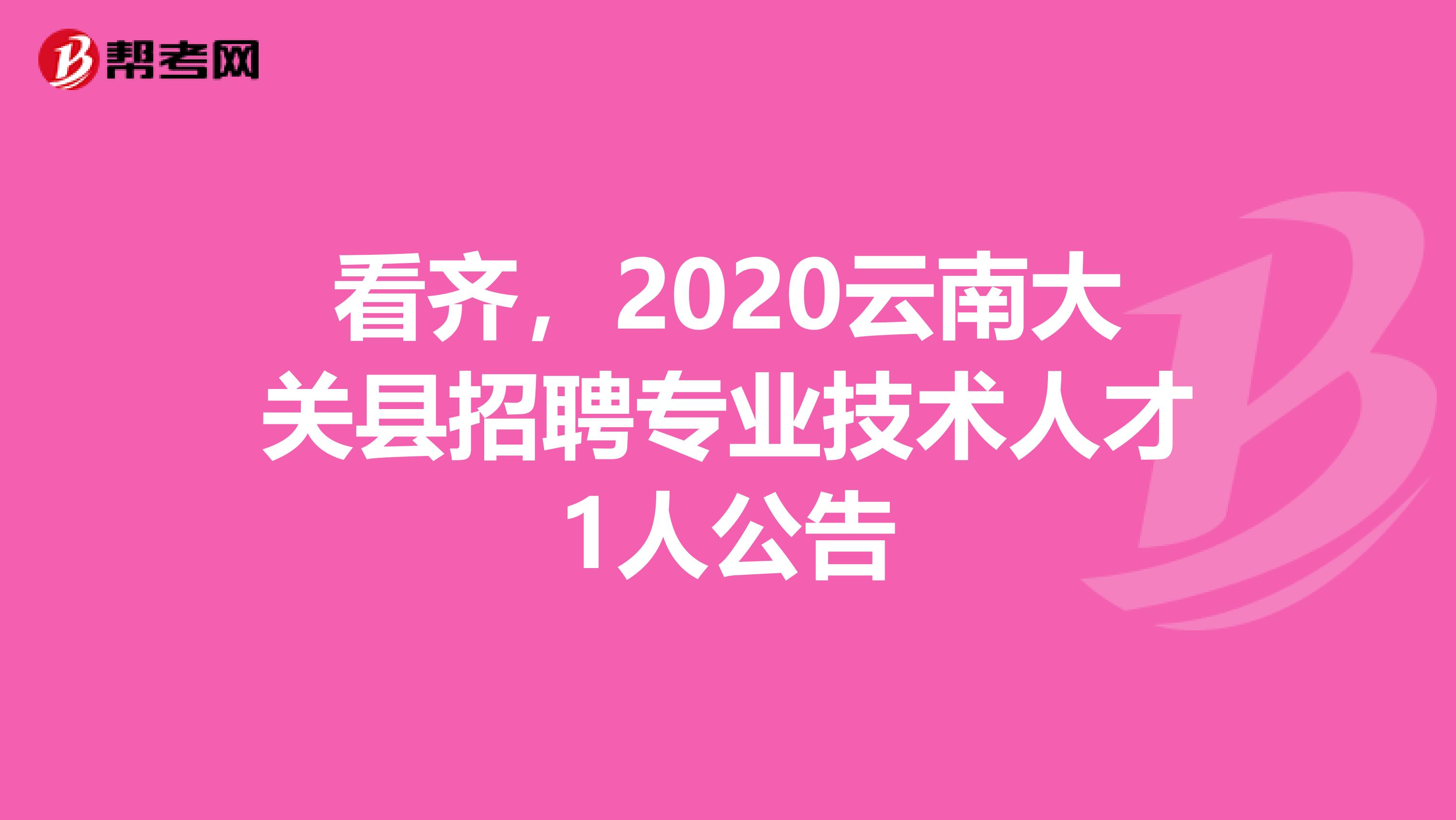 看齐，2020云南大关县招聘专业技术人才1人公告