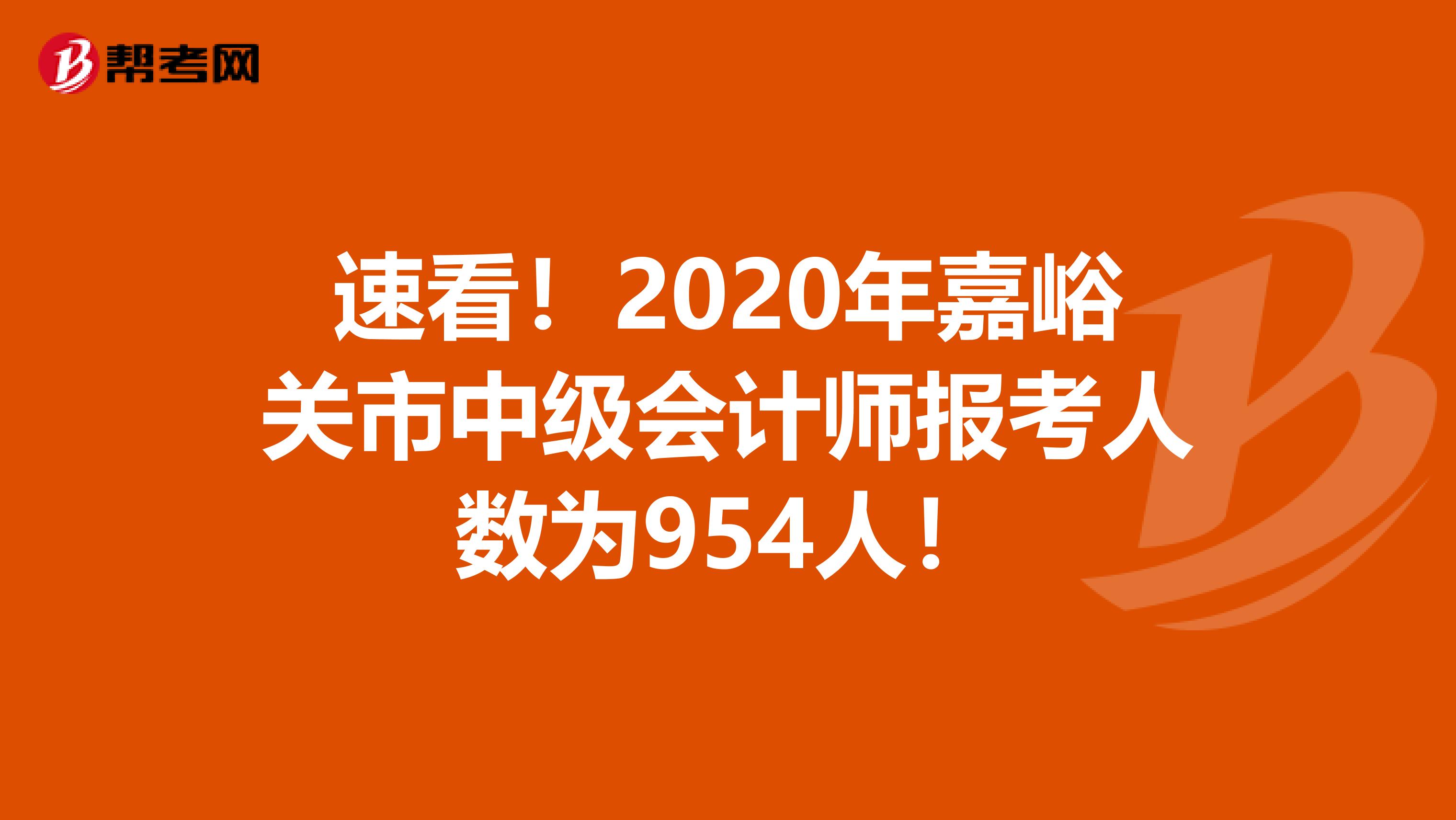 速看！2020年嘉峪关市中级会计师报考人数为954人！