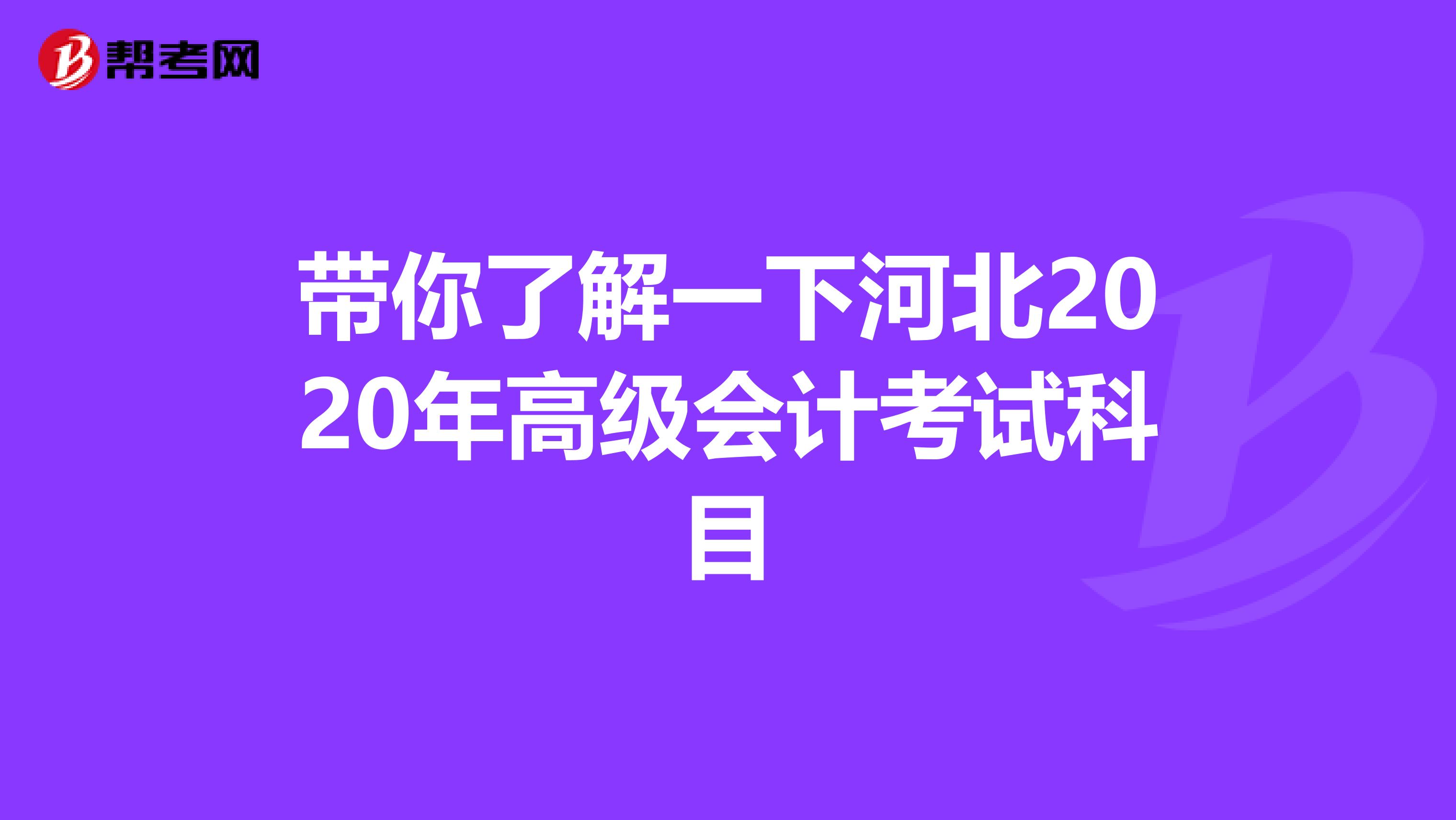 带你了解一下河北2020年高级会计考试科目
