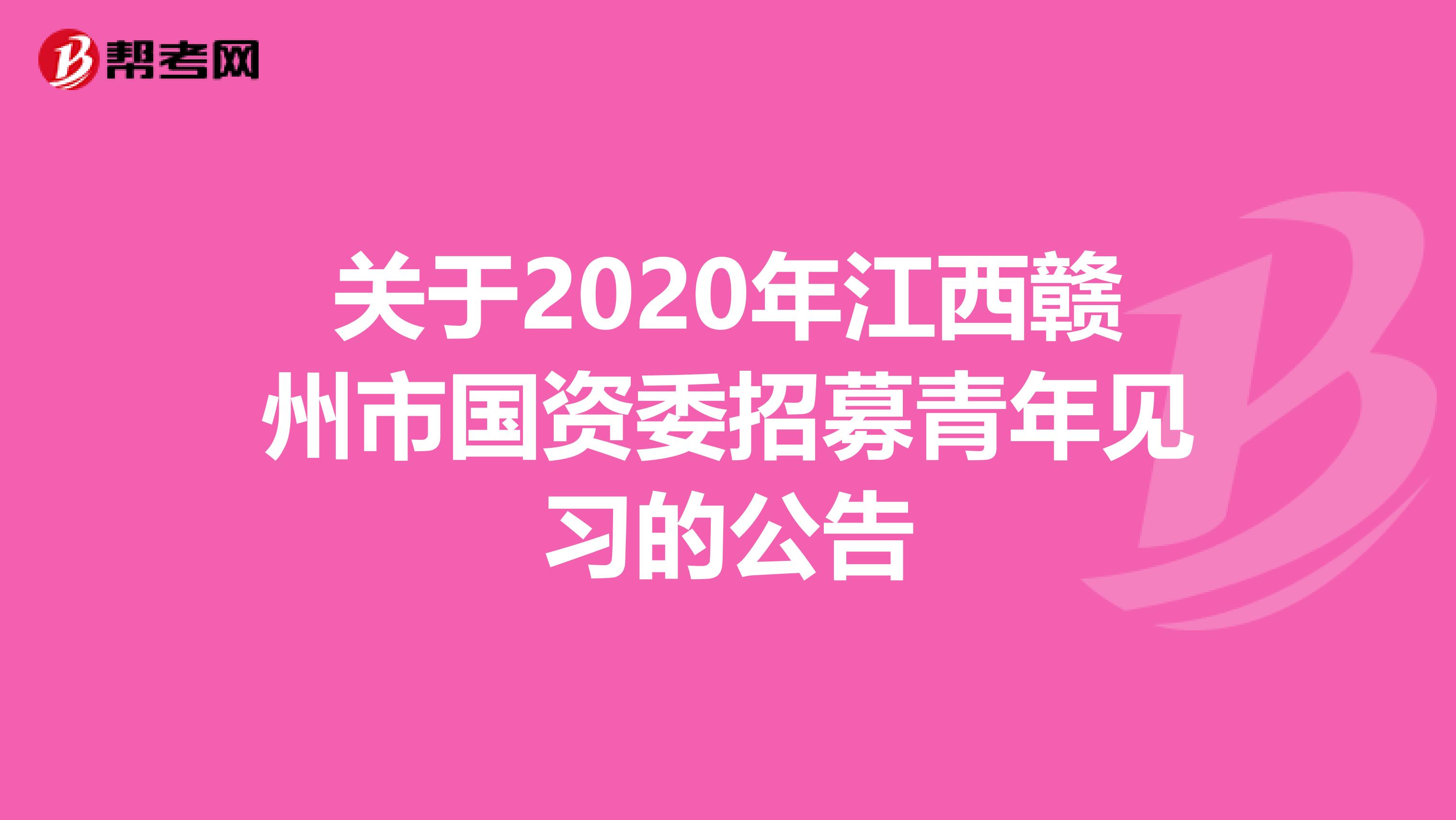 关于2020年江西赣州市国资委招募青年见习的公告