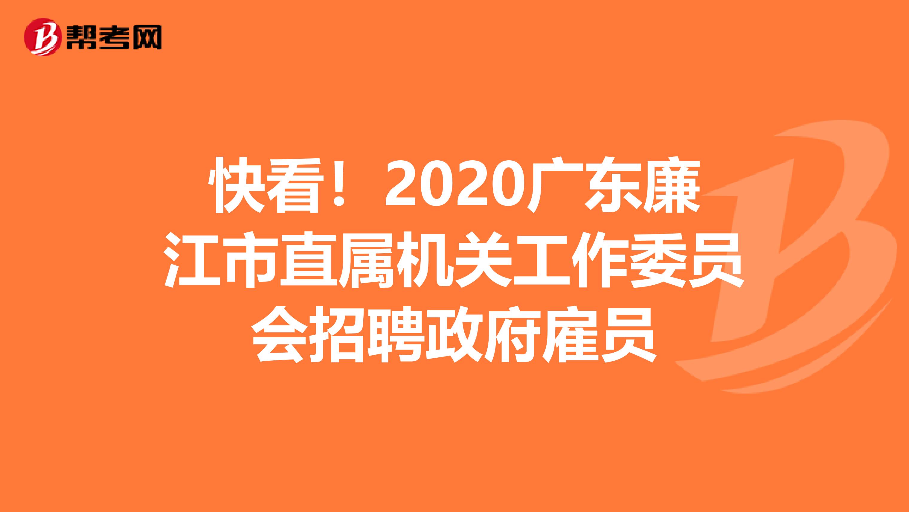 快看！2020广东廉江市直属机关工作委员会招聘政府雇员