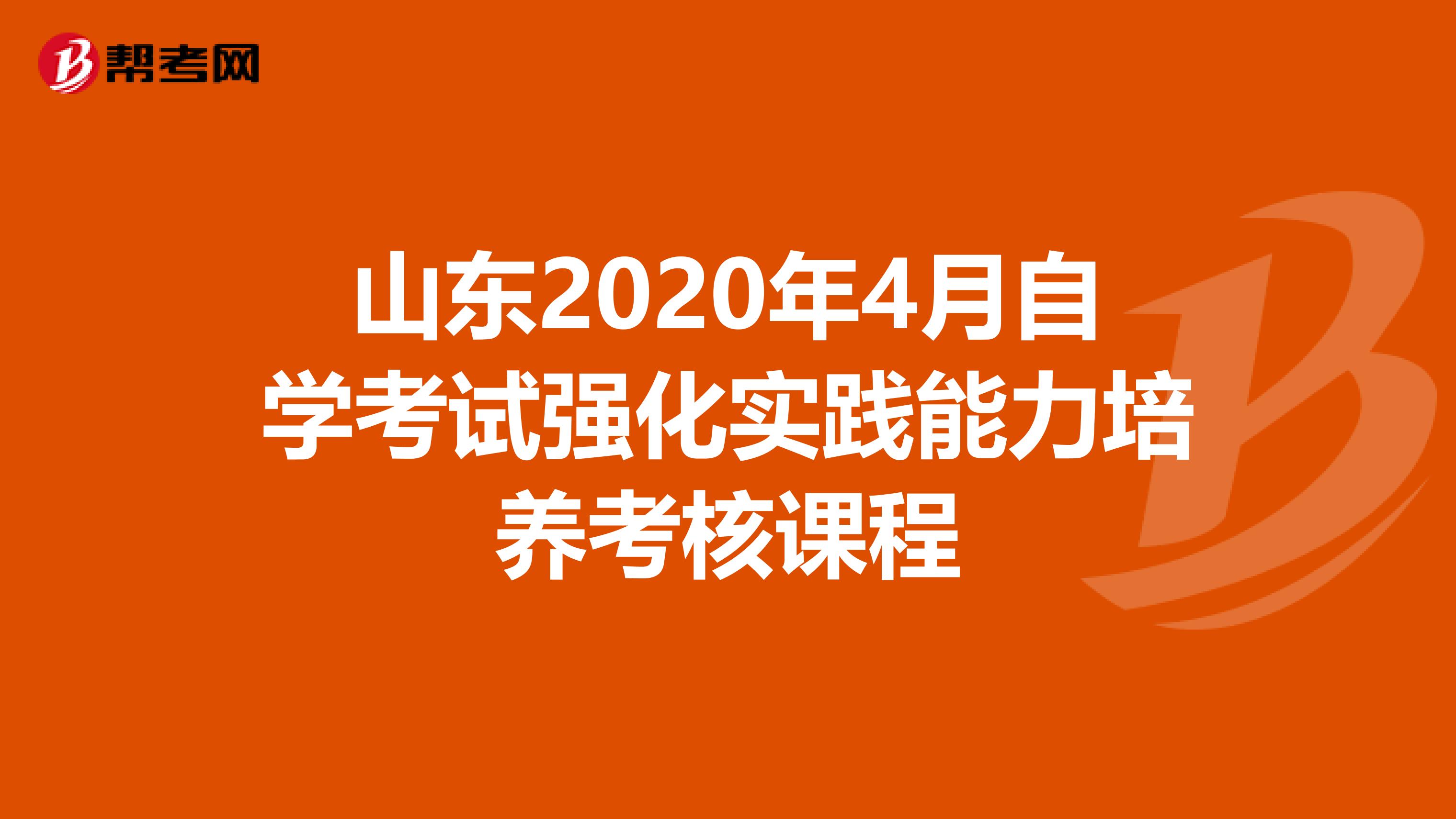 山东2020年4月自学考试强化实践能力培养考核课程