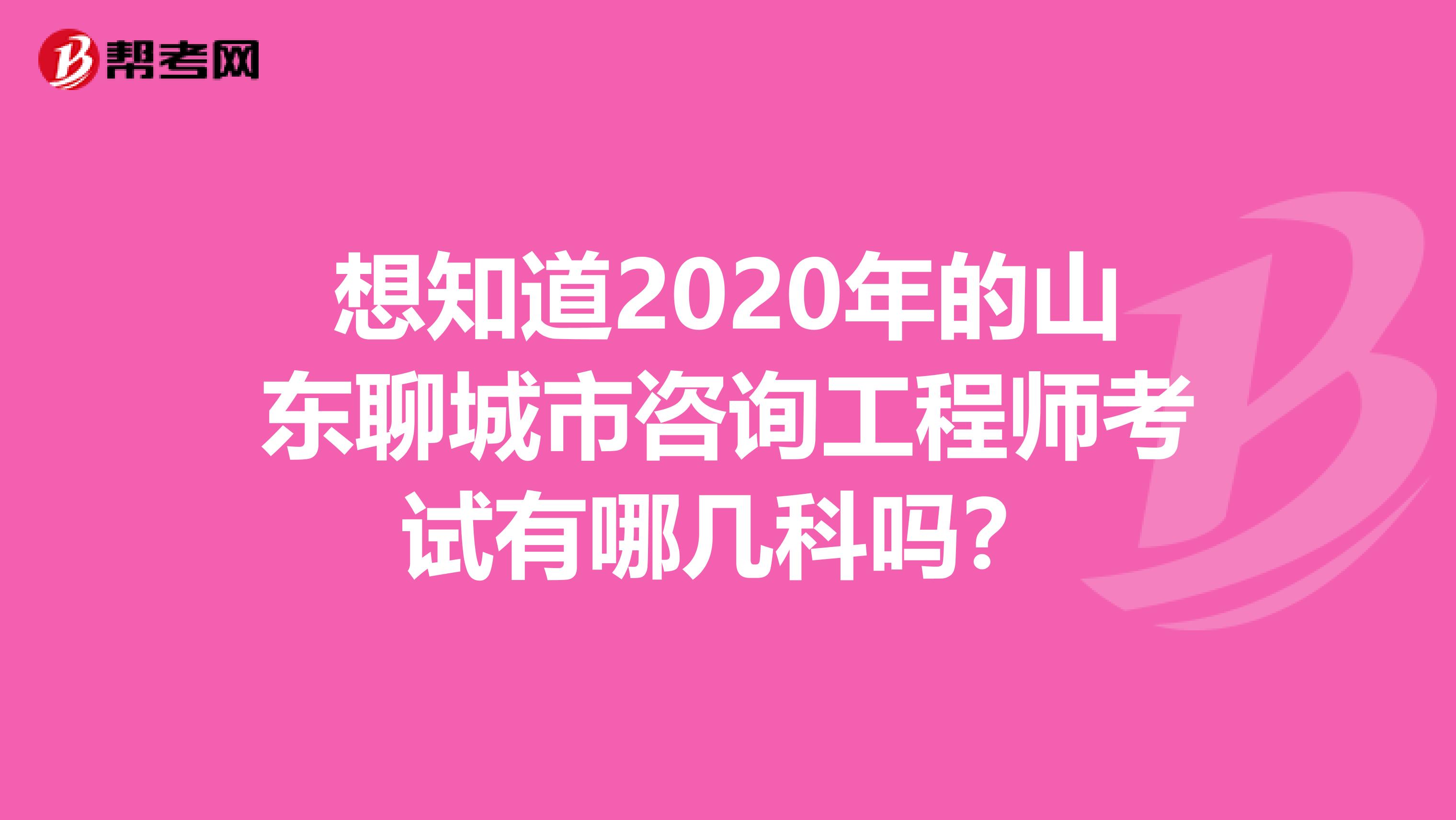 想知道2020年的山东聊城市咨询工程师考试有哪几科吗？