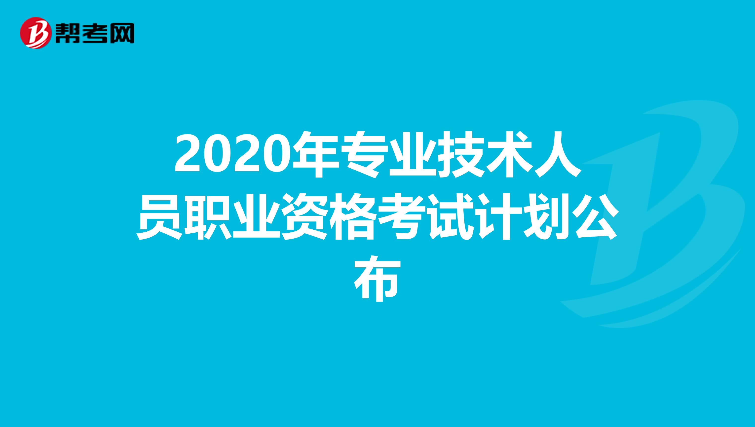 2020年专业技术人员职业资格考试计划公布