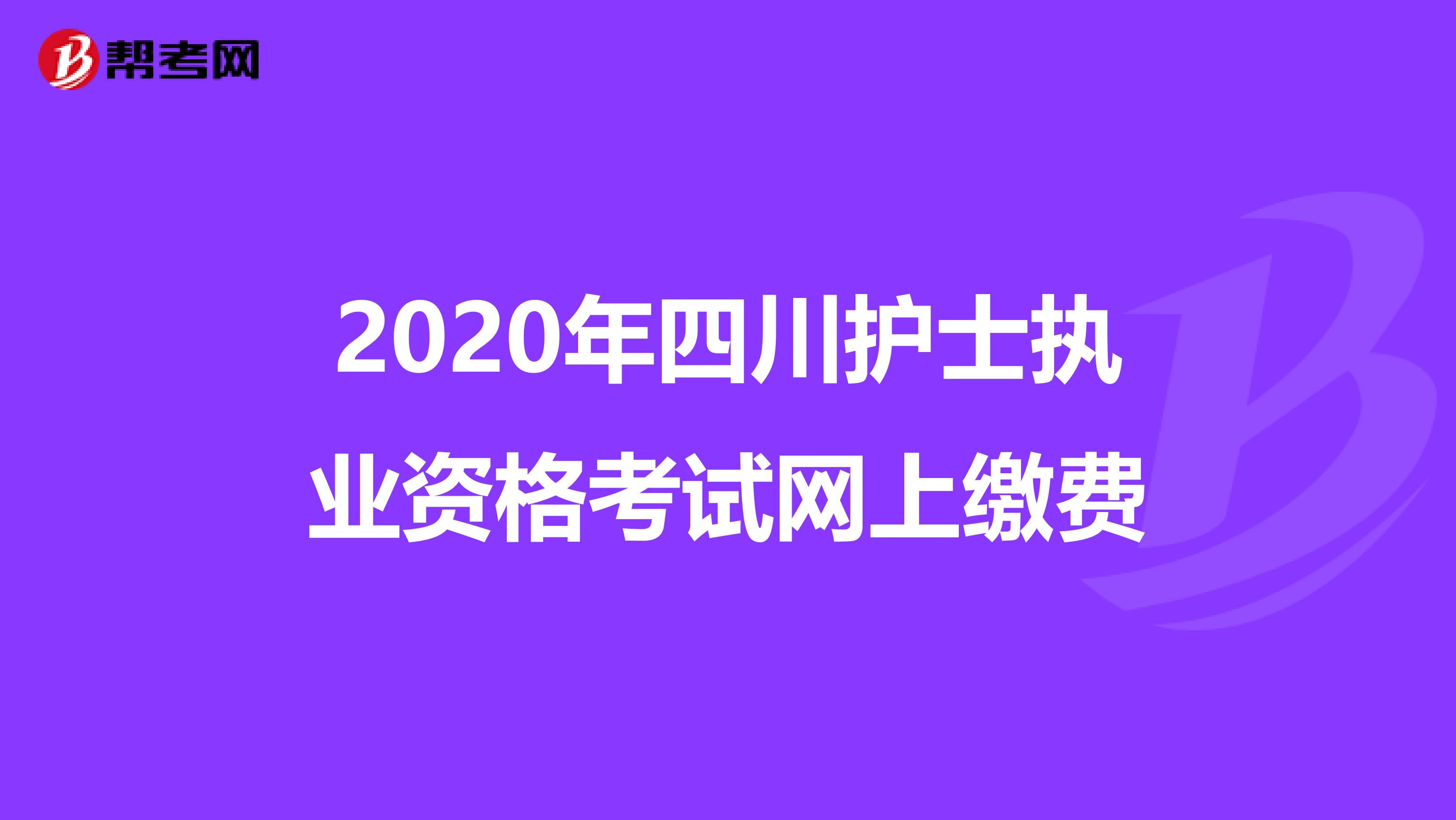 2020年四川护士执业资格考试网上缴费