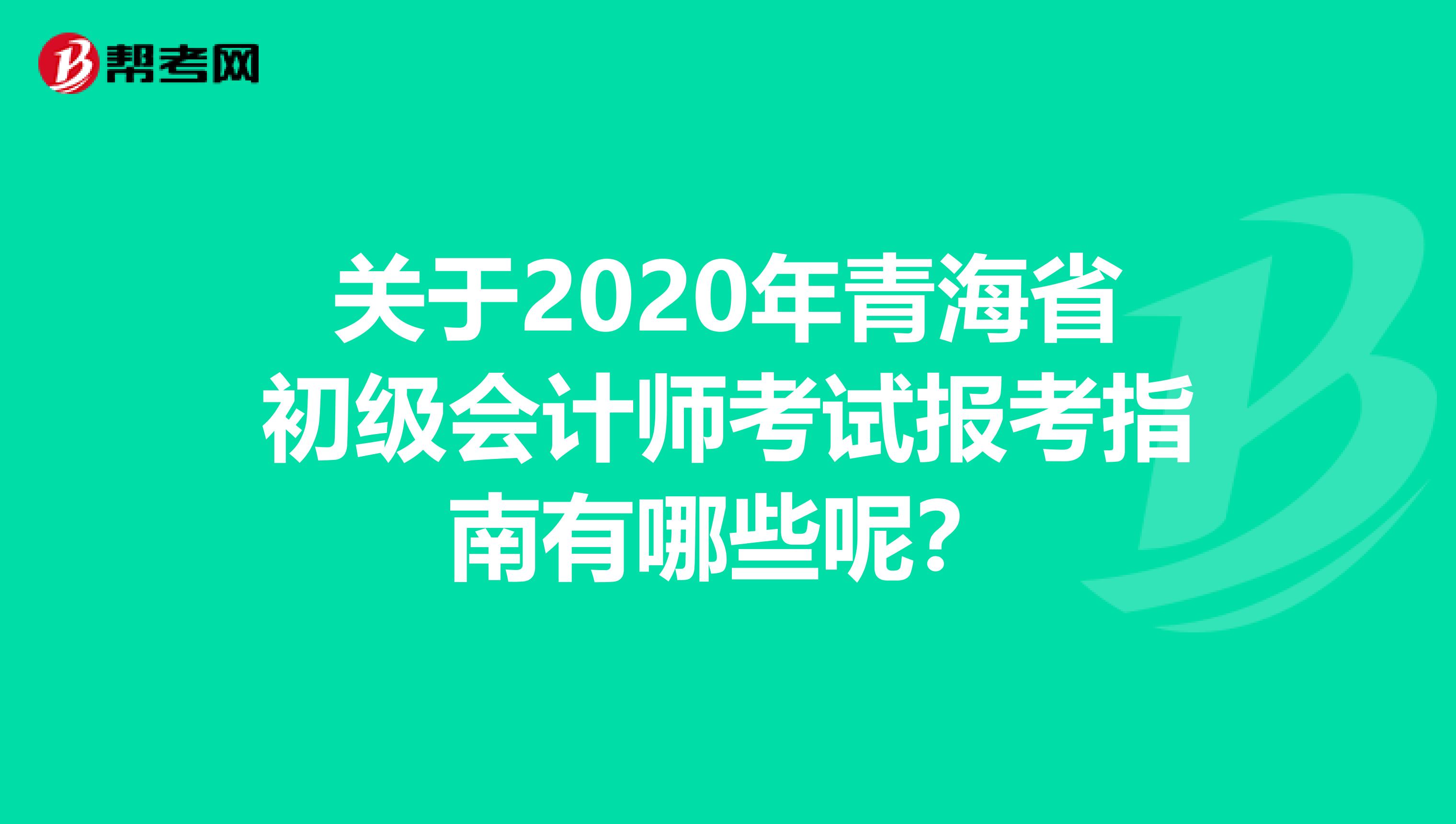 关于2020年青海省初级会计师考试报考指南有哪些呢？