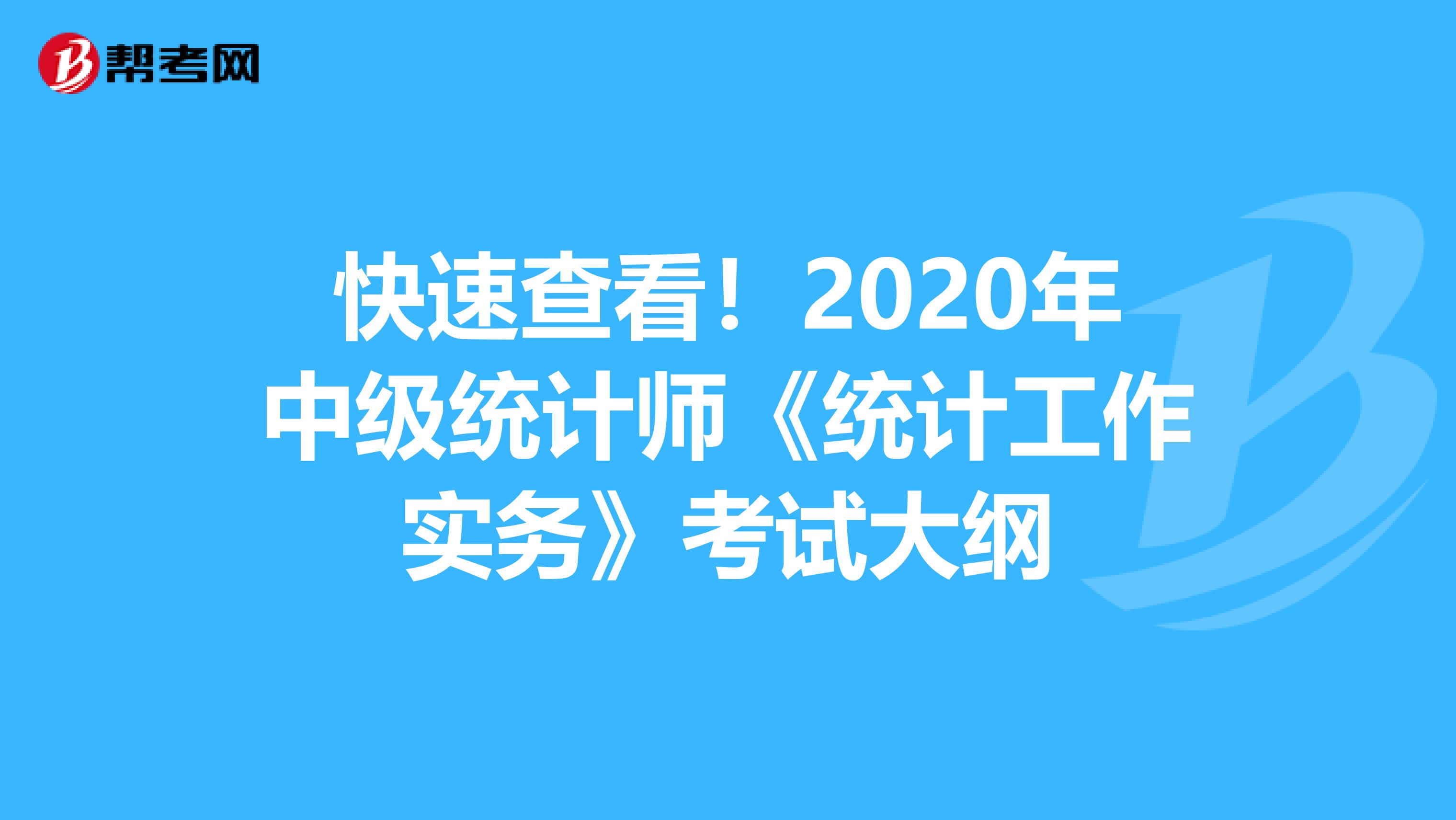 快速查看！2020年中级统计师《统计工作实务》考试大纲