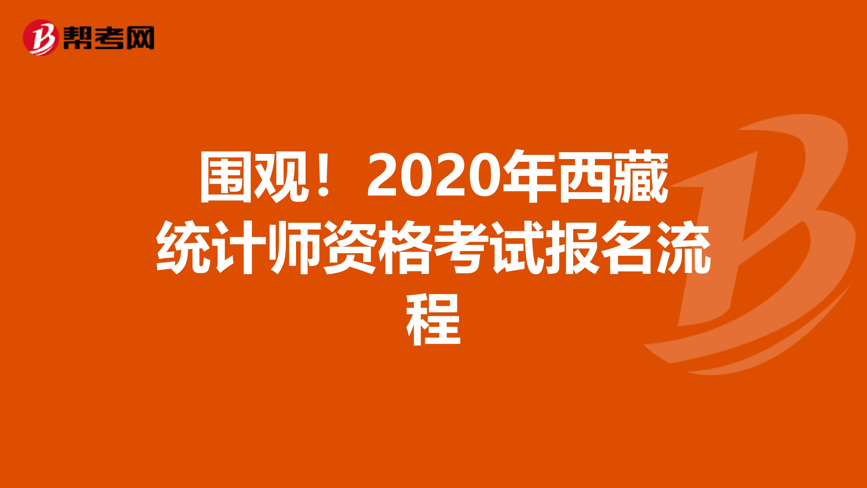 围观！2020年西藏统计师资格考试报名流程