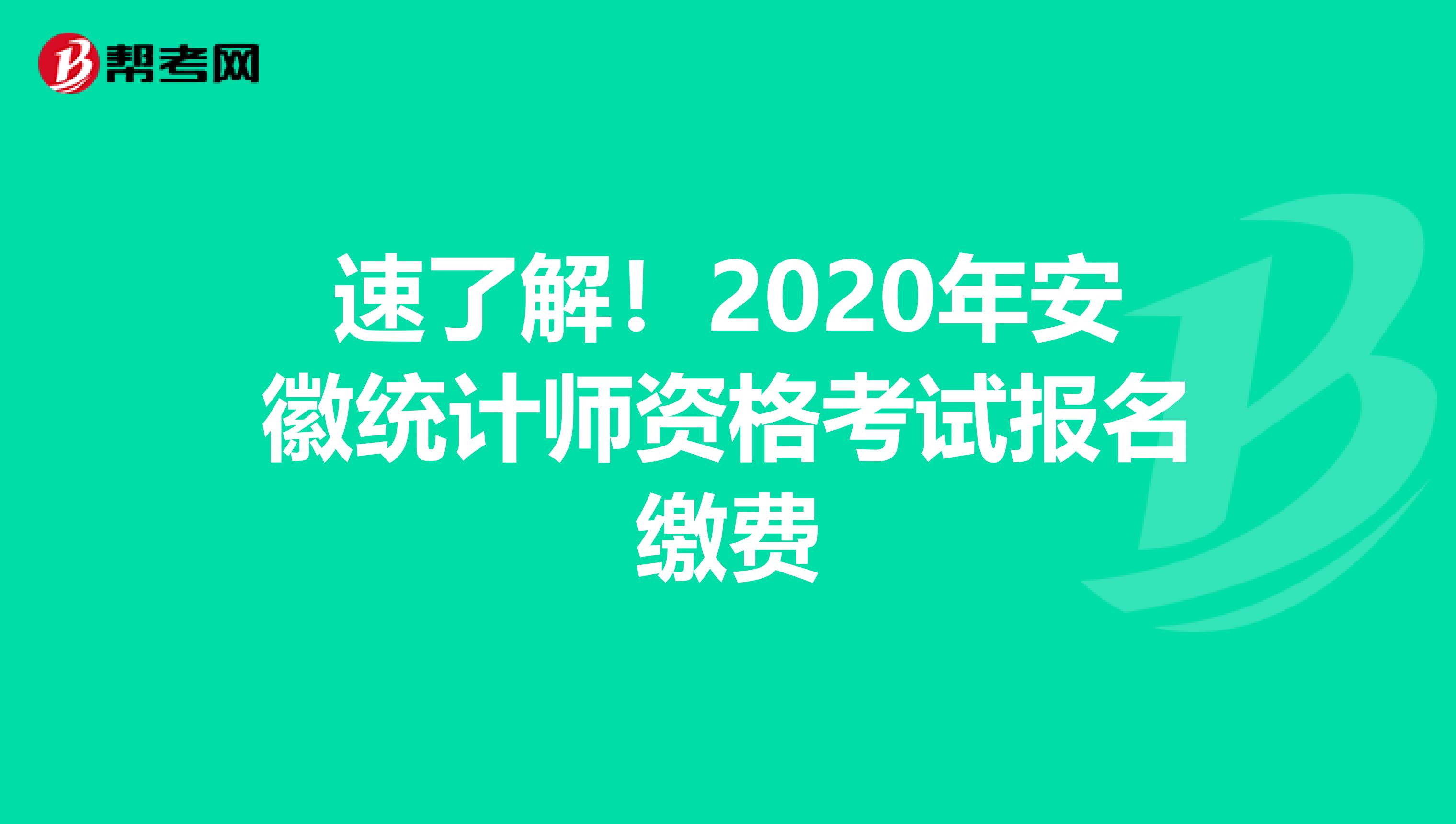 速了解！2020年安徽统计师资格考试报名缴费