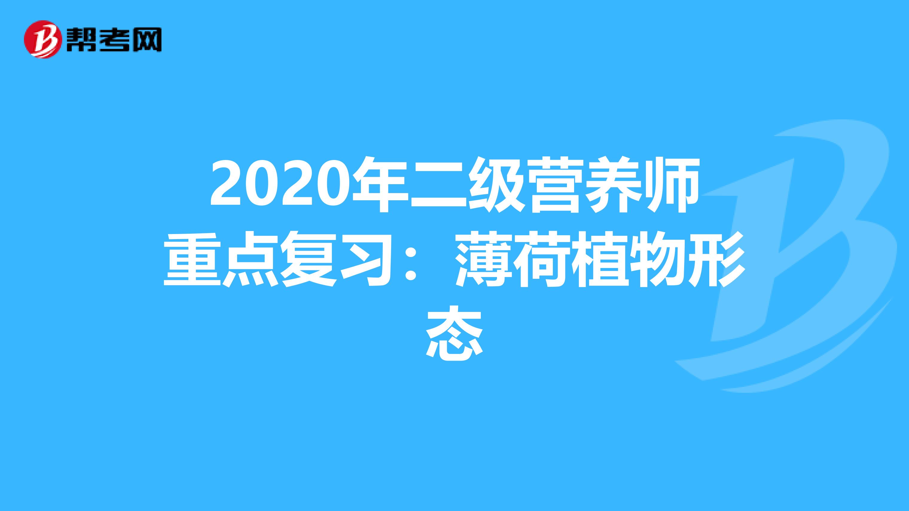 2020年二级营养师重点复习：薄荷植物形态
