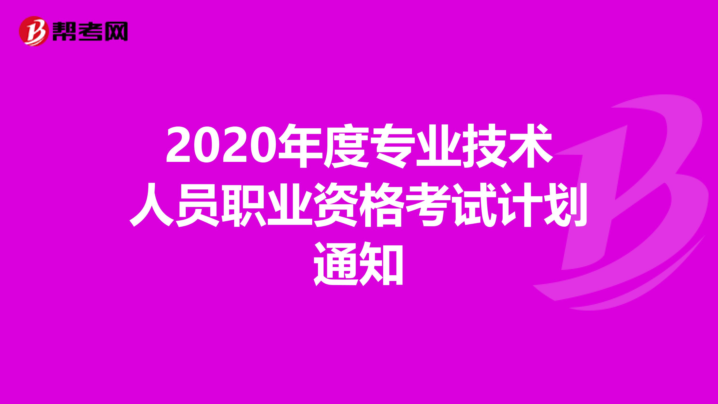 2020年度专业技术人员职业资格考试计划通知