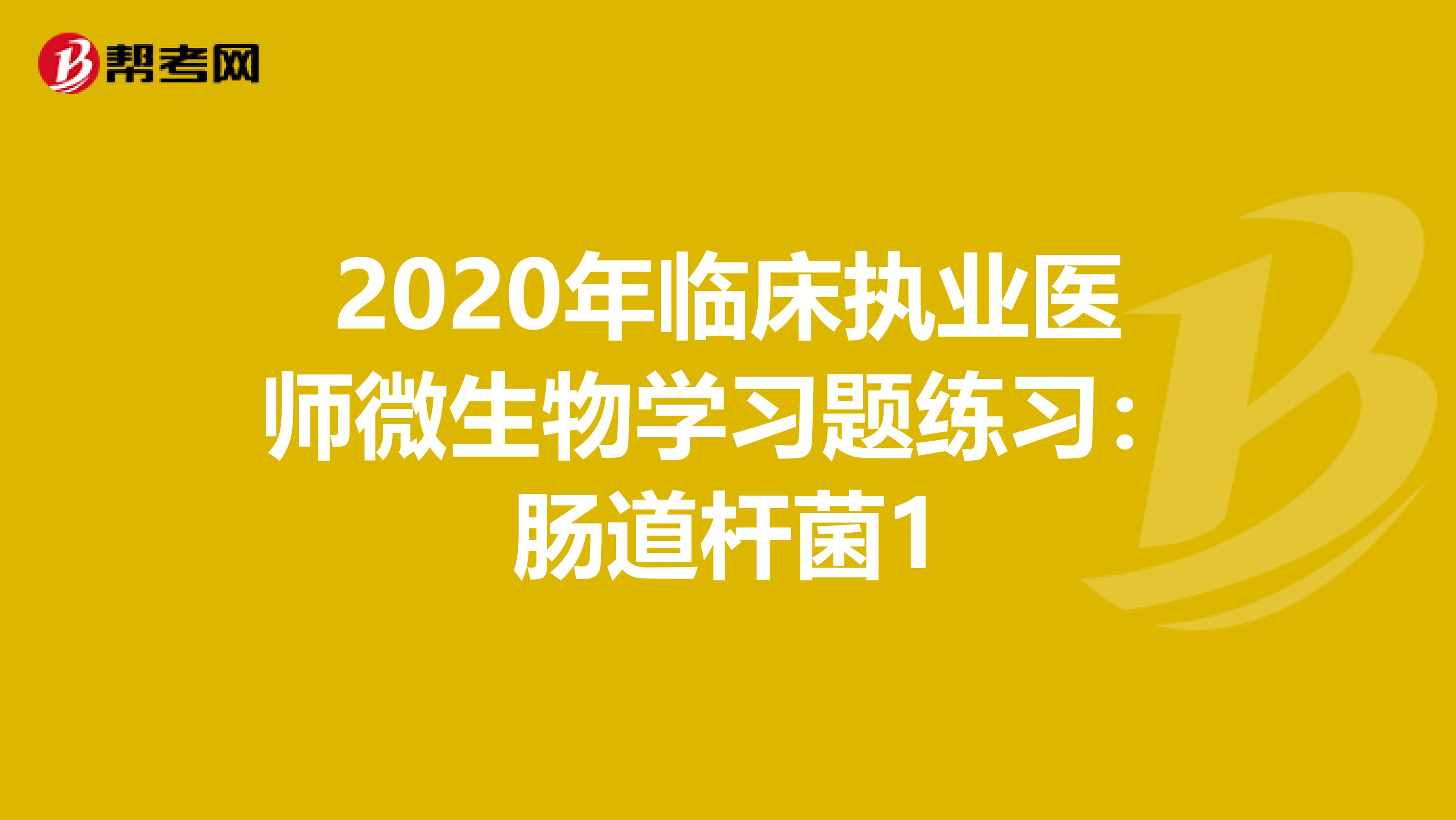 2020年临床执业医师微生物学习题练习：肠道杆菌1