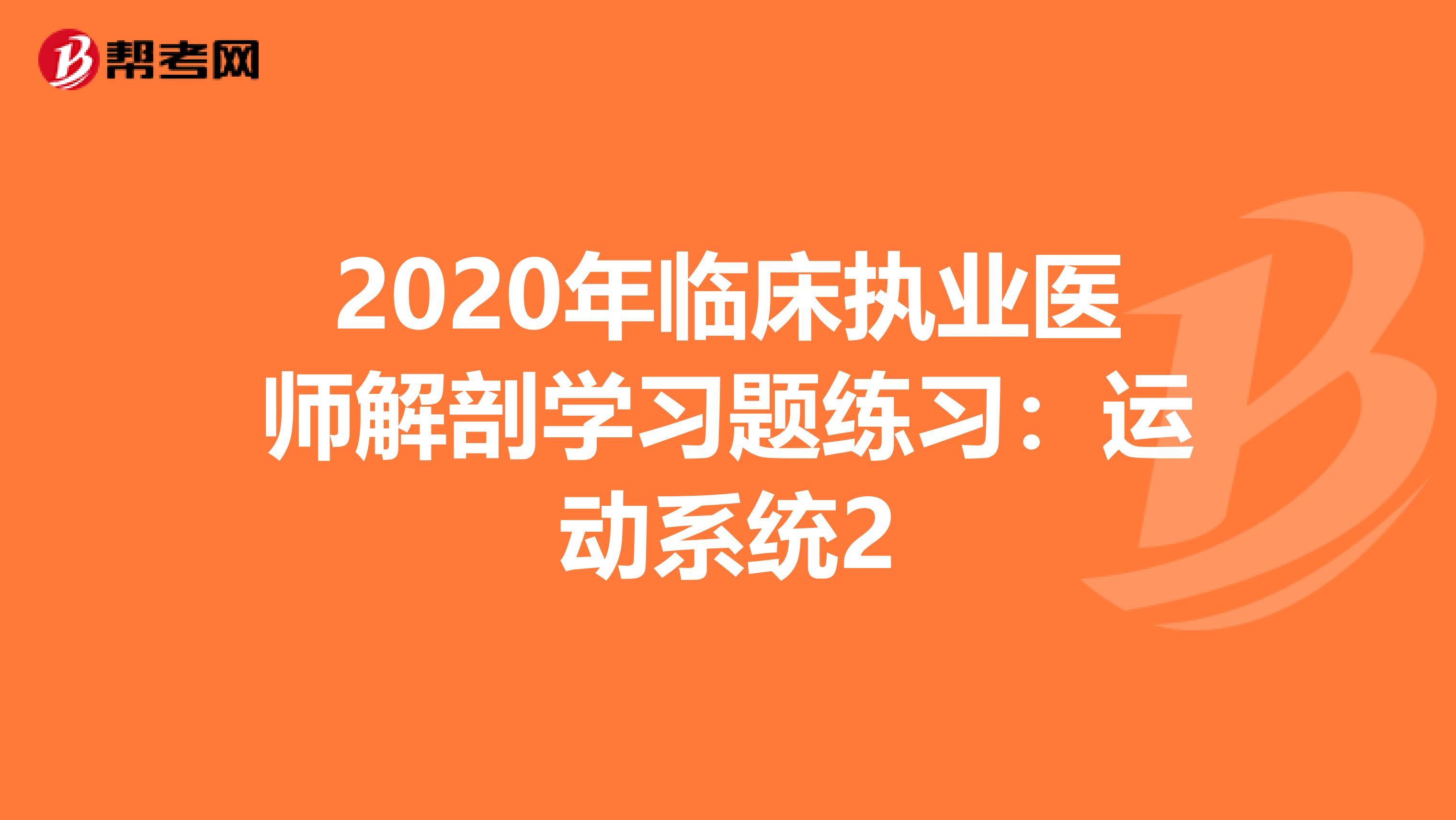 2020年临床执业医师解剖学习题练习：运动系统2