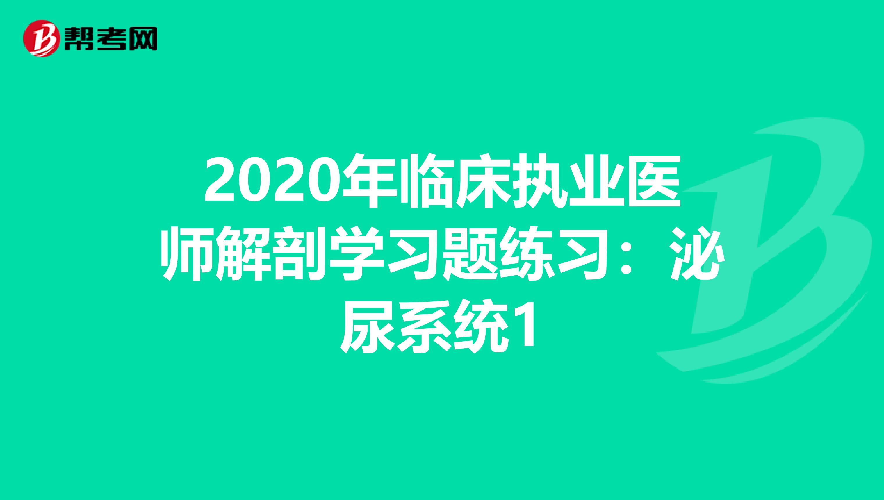 2020年临床执业医师解剖学习题练习：泌尿系统1