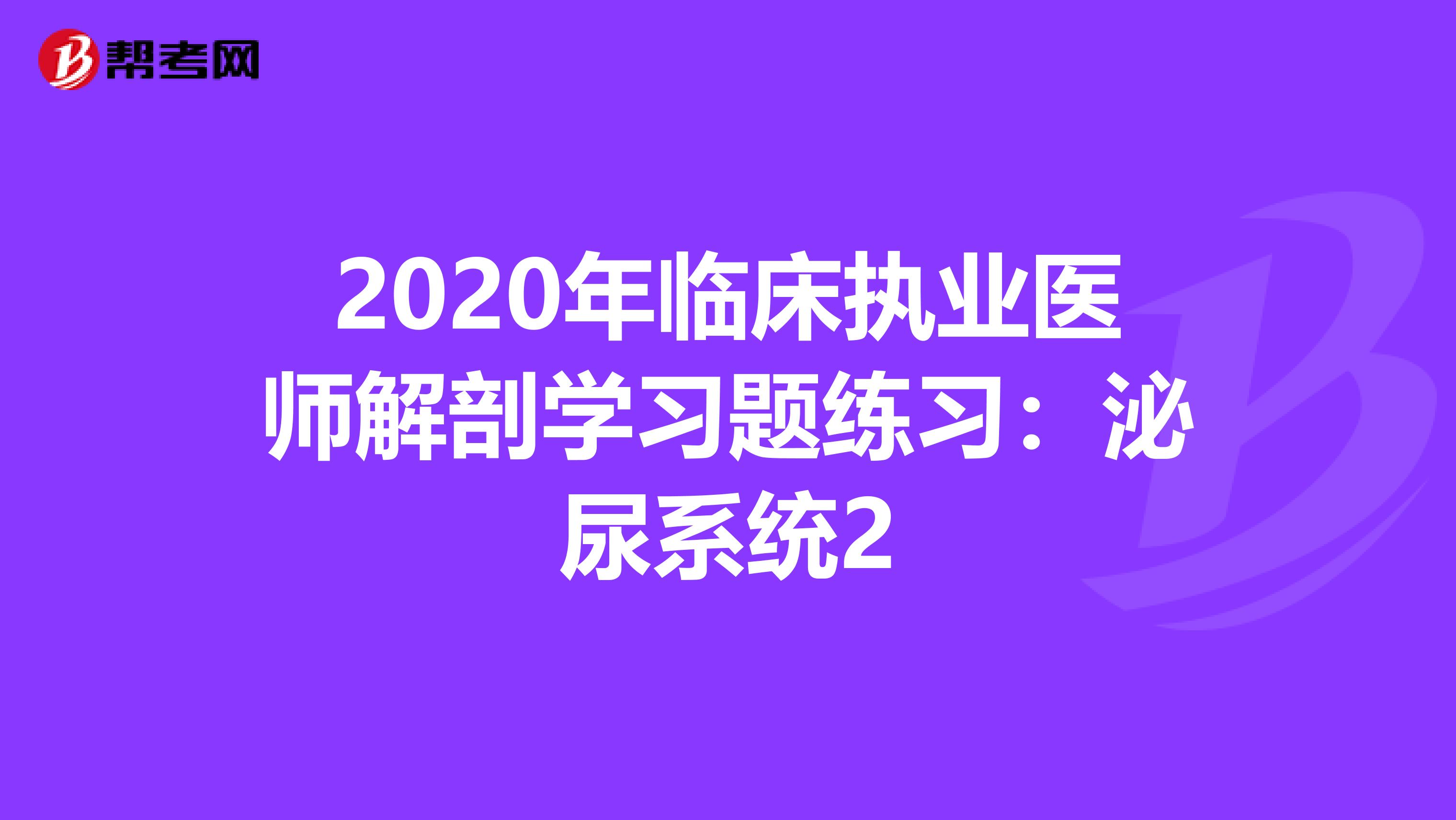 2020年临床执业医师解剖学习题练习：泌尿系统2