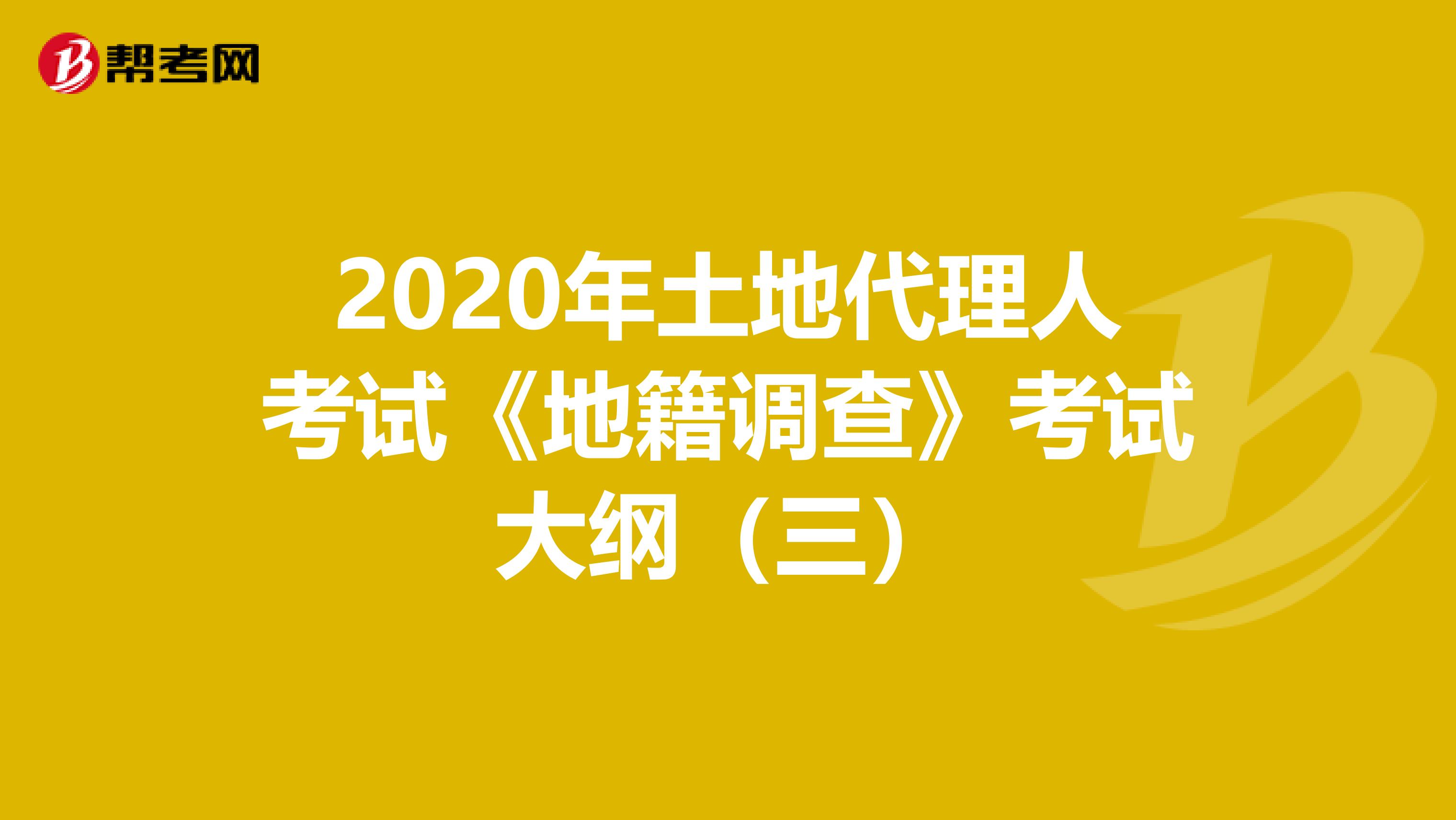 2020年土地代理人考试《地籍调查》考试大纲（三）