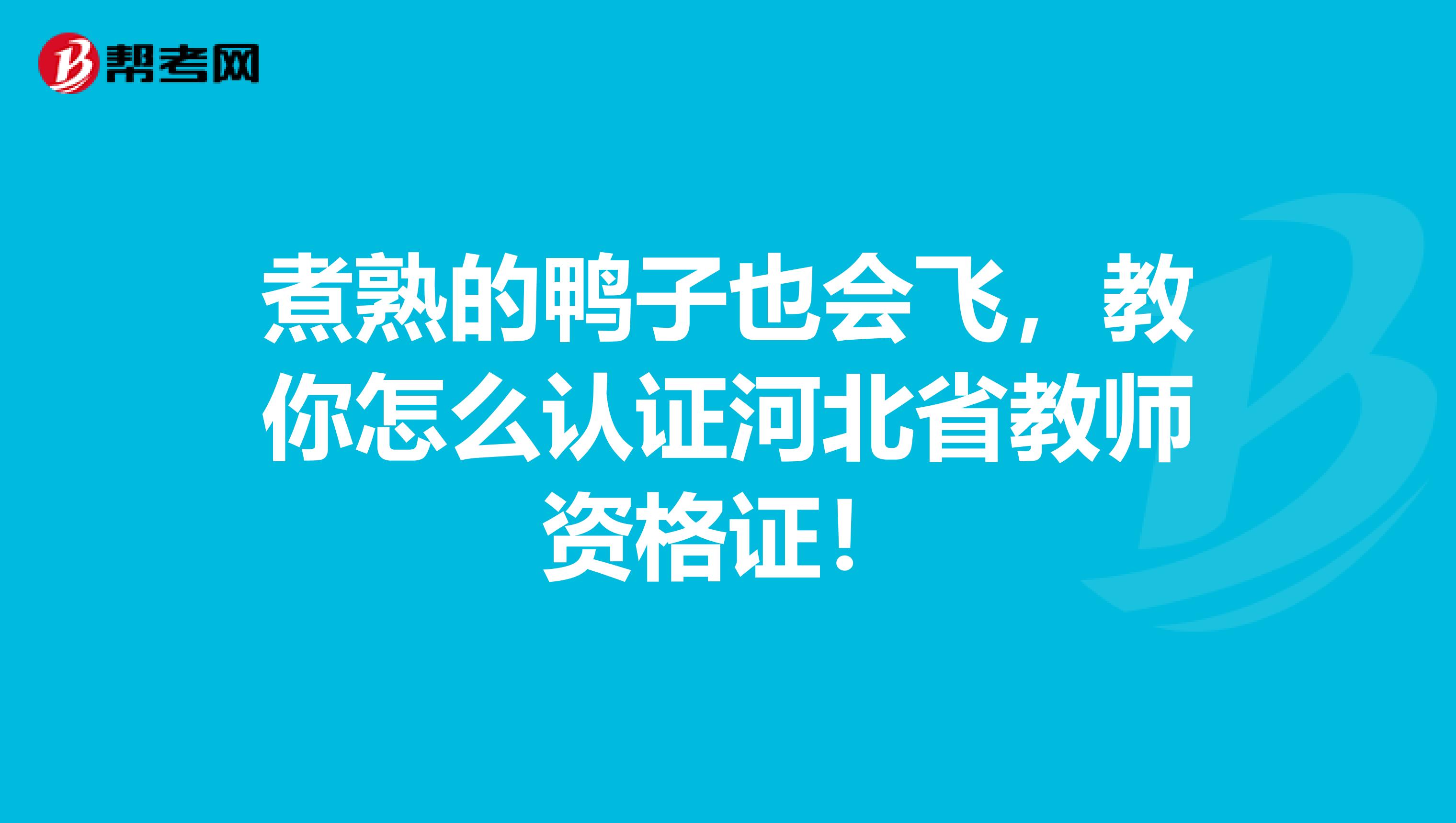 煮熟的鸭子也会飞，教你怎么认证河北省教师资格证！