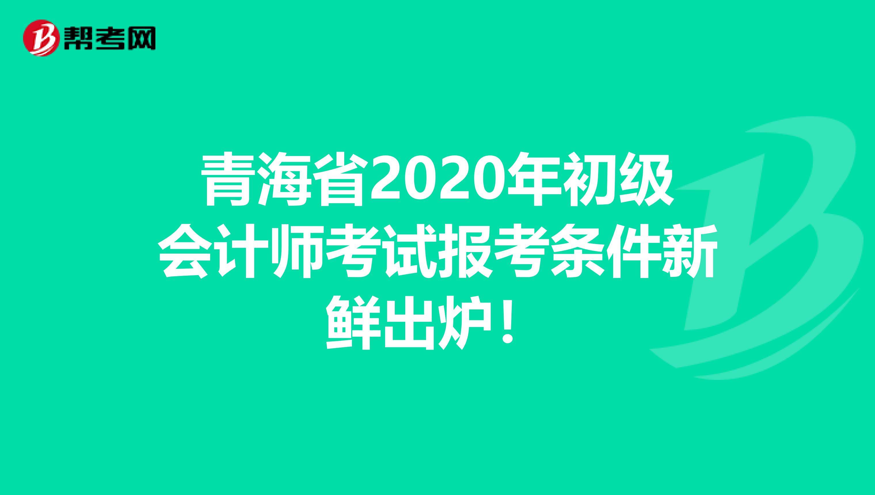 青海省2020年初级会计师考试报考条件新鲜出炉！