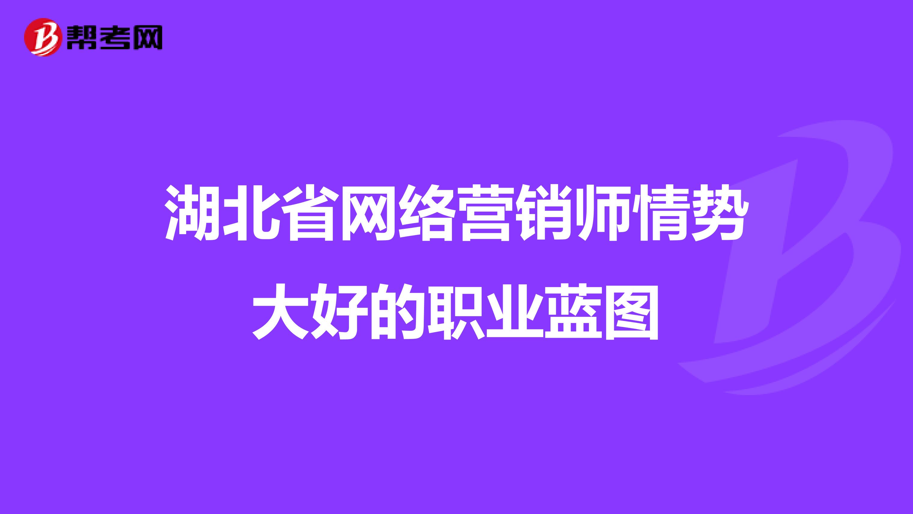 湖北省网络营销师情势大好的职业蓝图