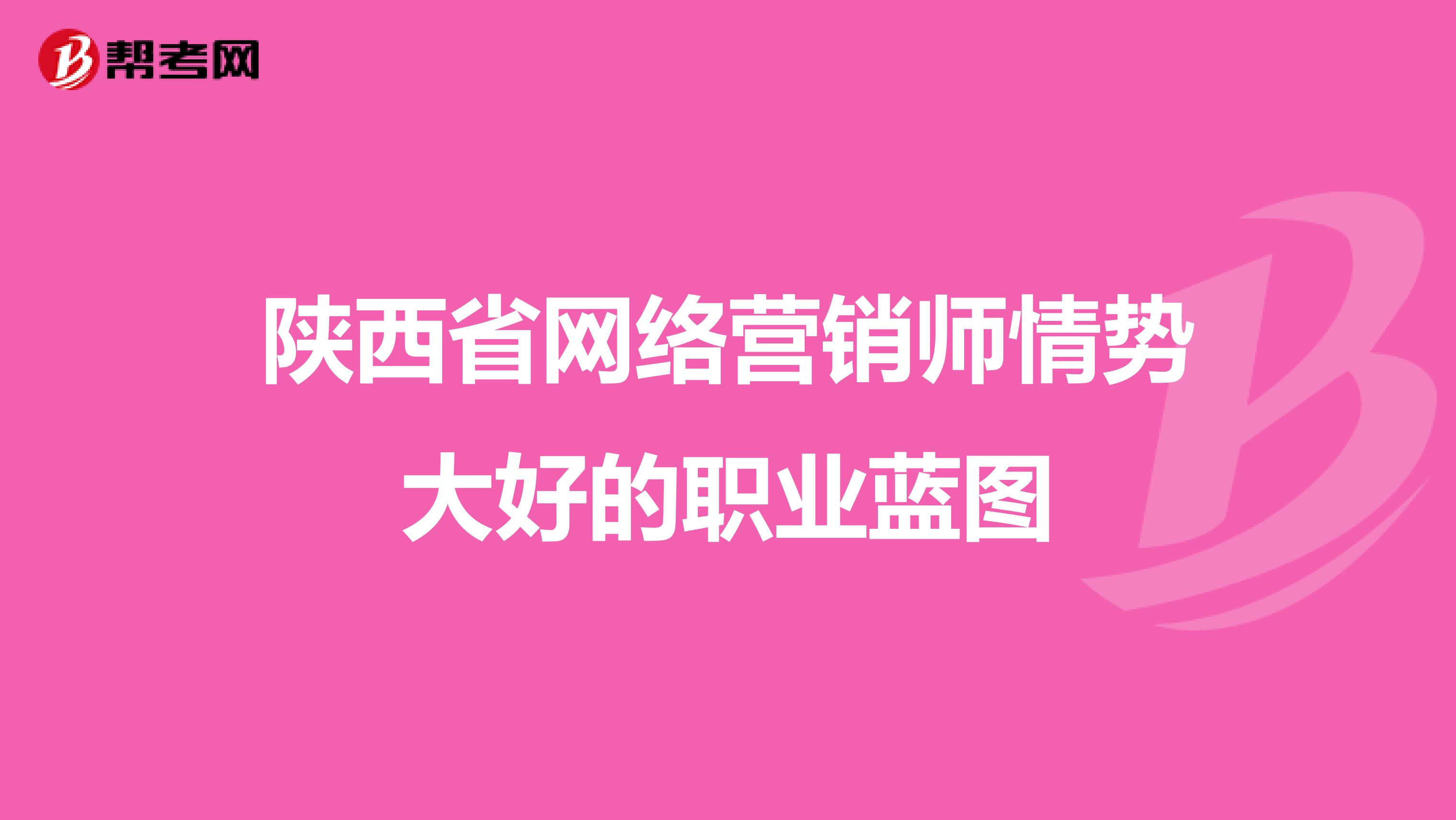 陕西省网络营销师情势大好的职业蓝图