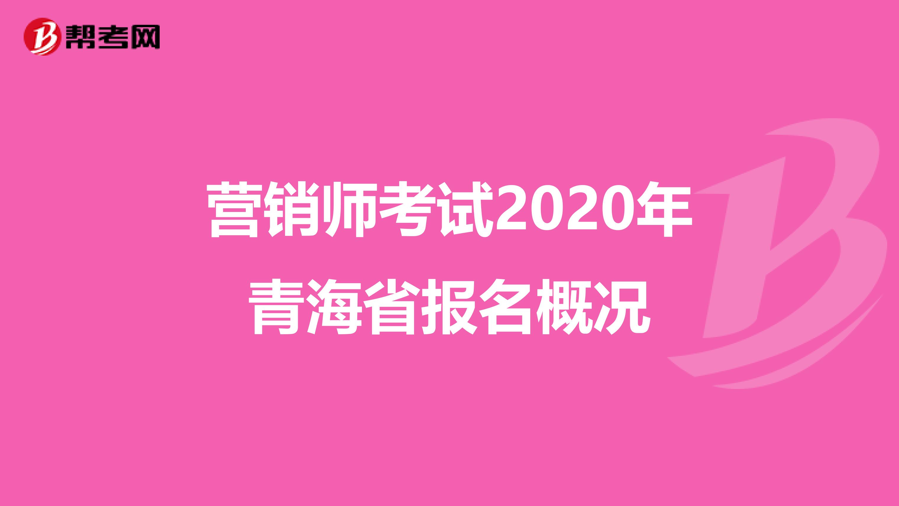 营销师考试2020年青海省报名概况