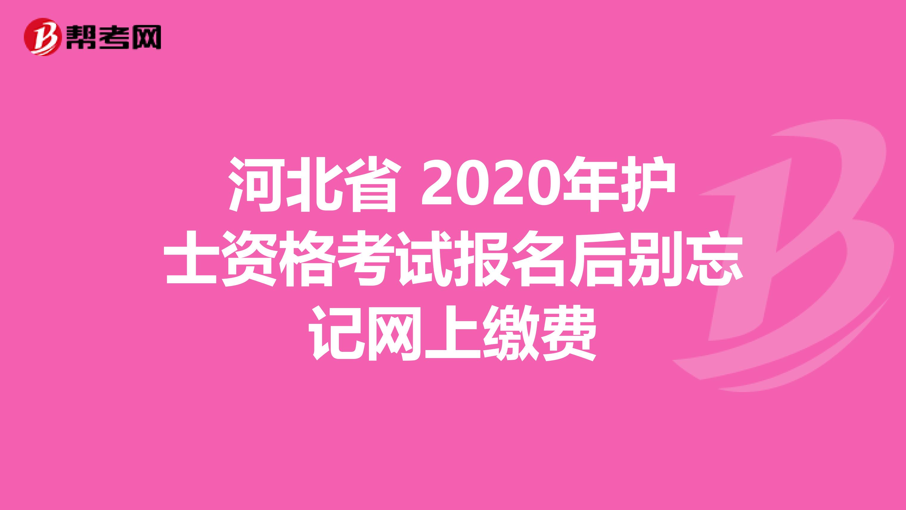 河北省 2020年护士资格考试报名后别忘记网上缴费