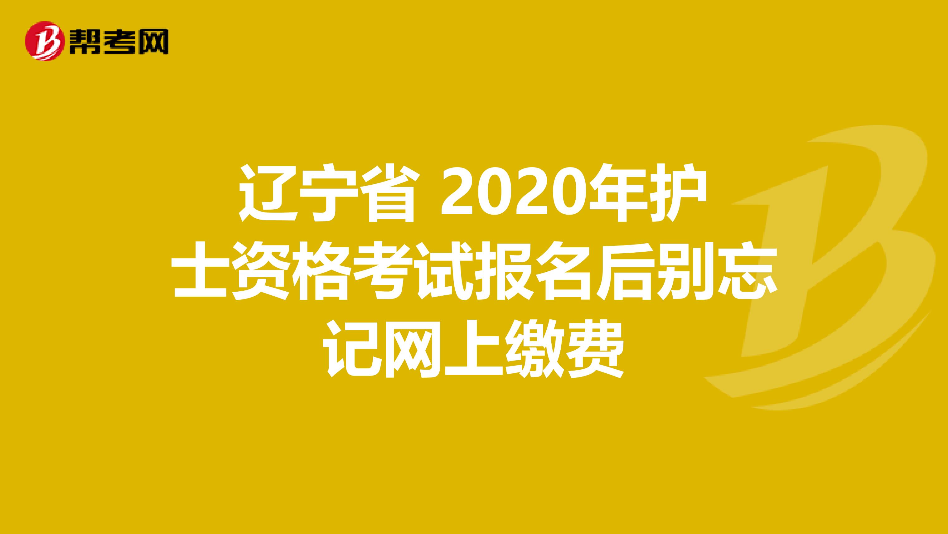 辽宁省 2020年护士资格考试报名后别忘记网上缴费