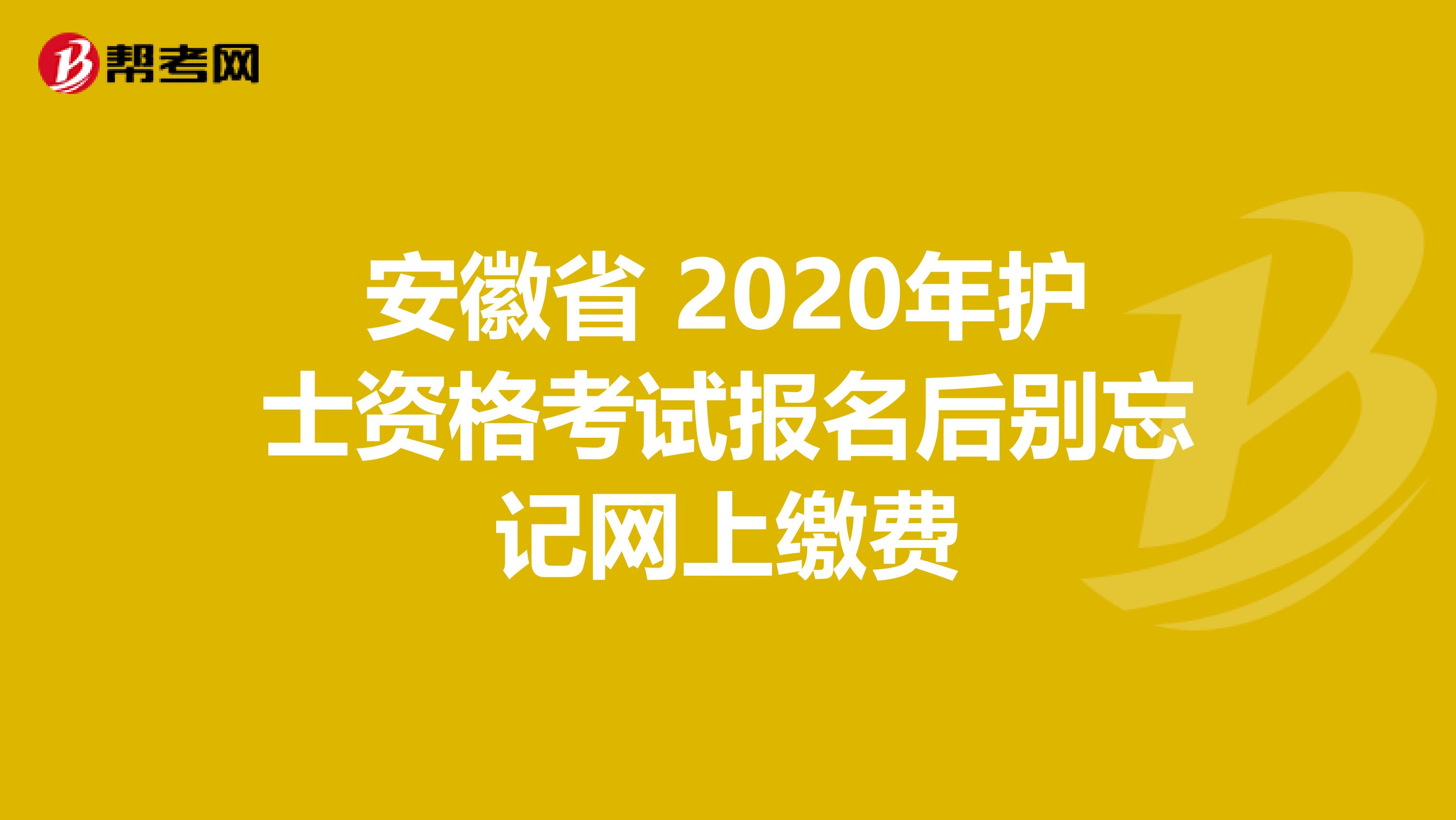 安徽省 2020年护士资格考试报名后别忘记网上缴费