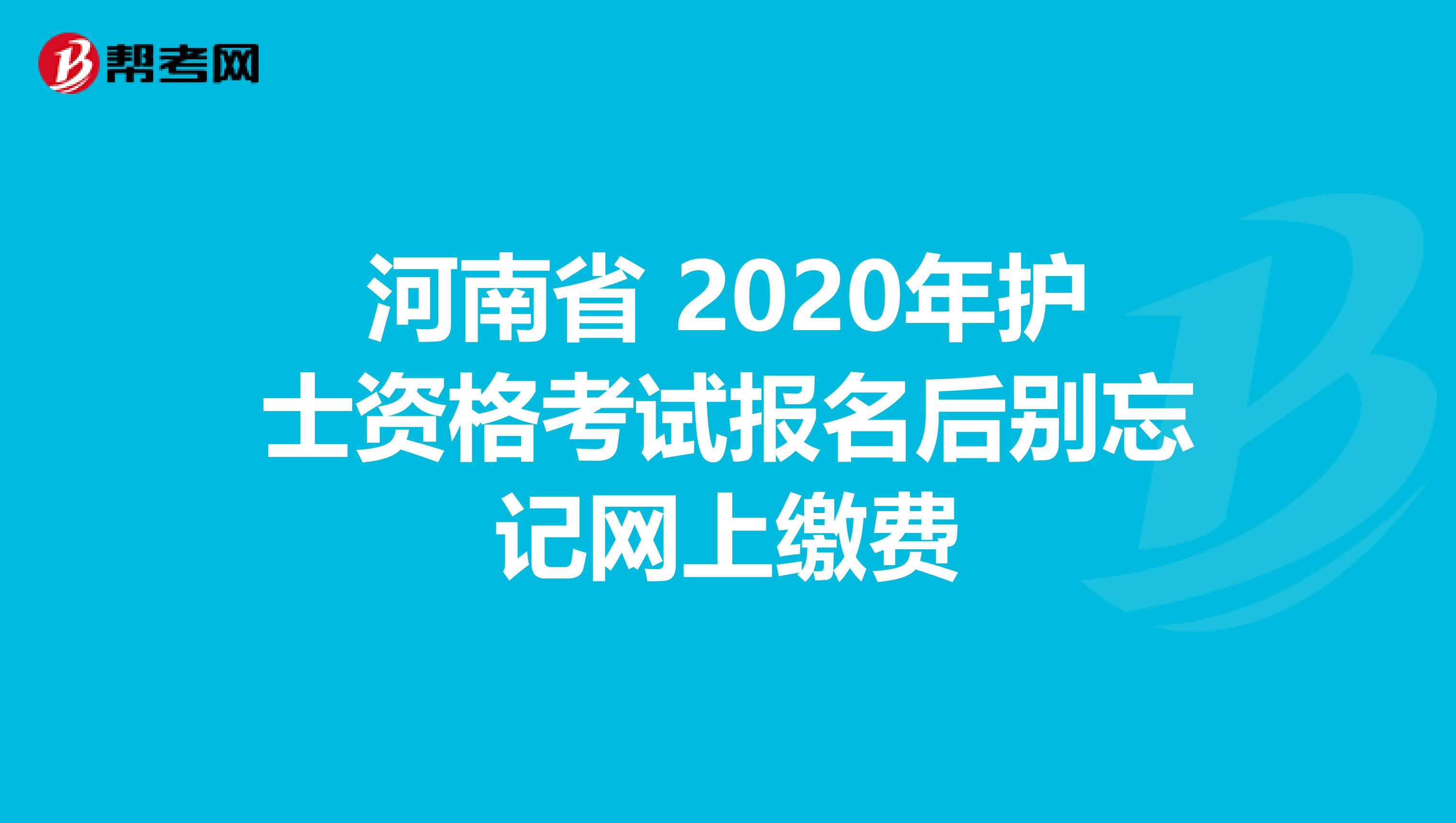 河南省 2020年護士資格考試報名后別忘記網上繳費