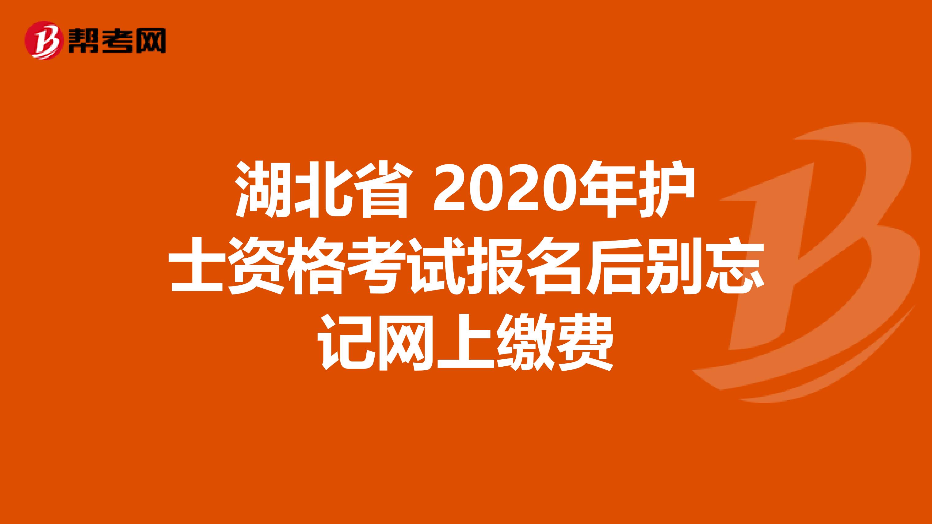 湖北省 2020年護士資格考試報名后別忘記網上繳費
