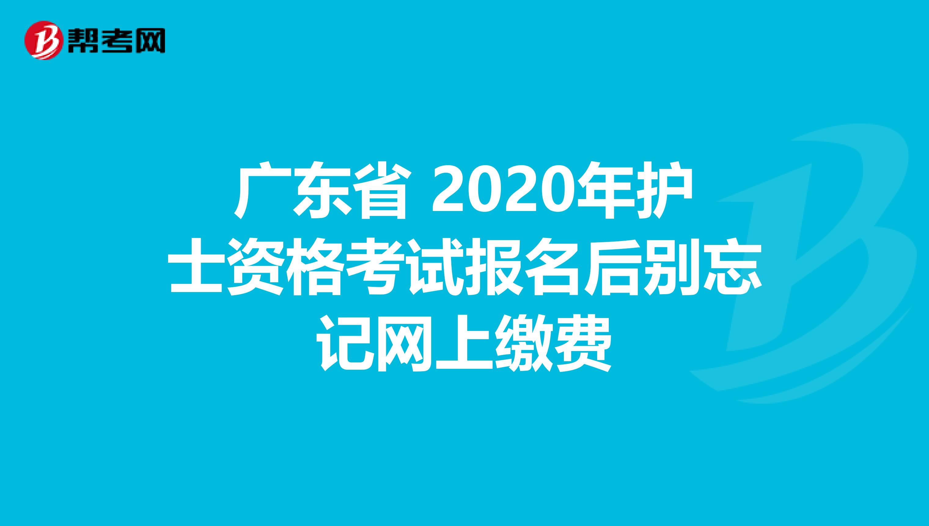 广东省 2020年护士资格考试报名后别忘记网上缴费
