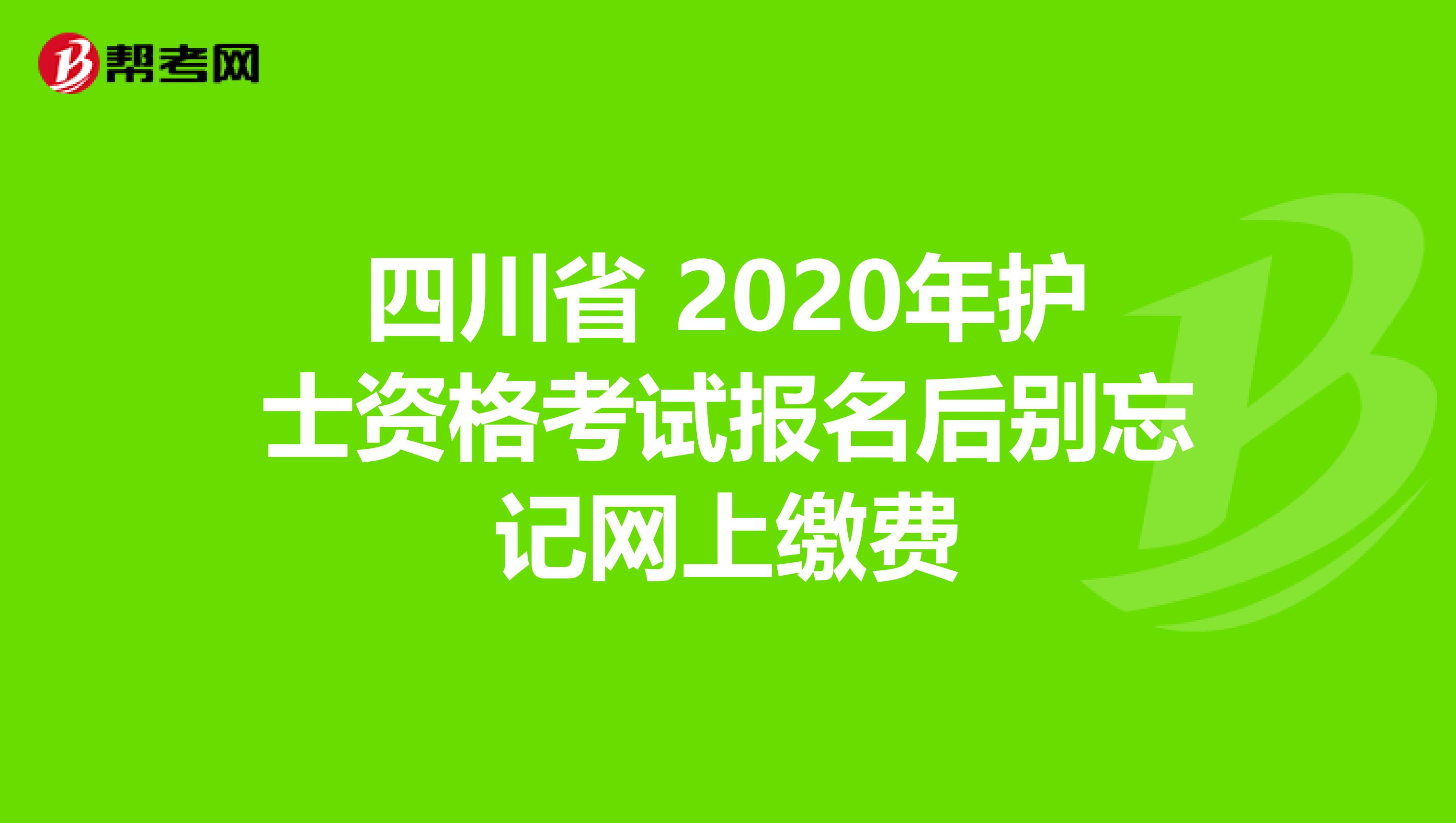 四川省 2020年护士资格考试报名后别忘记网上缴费