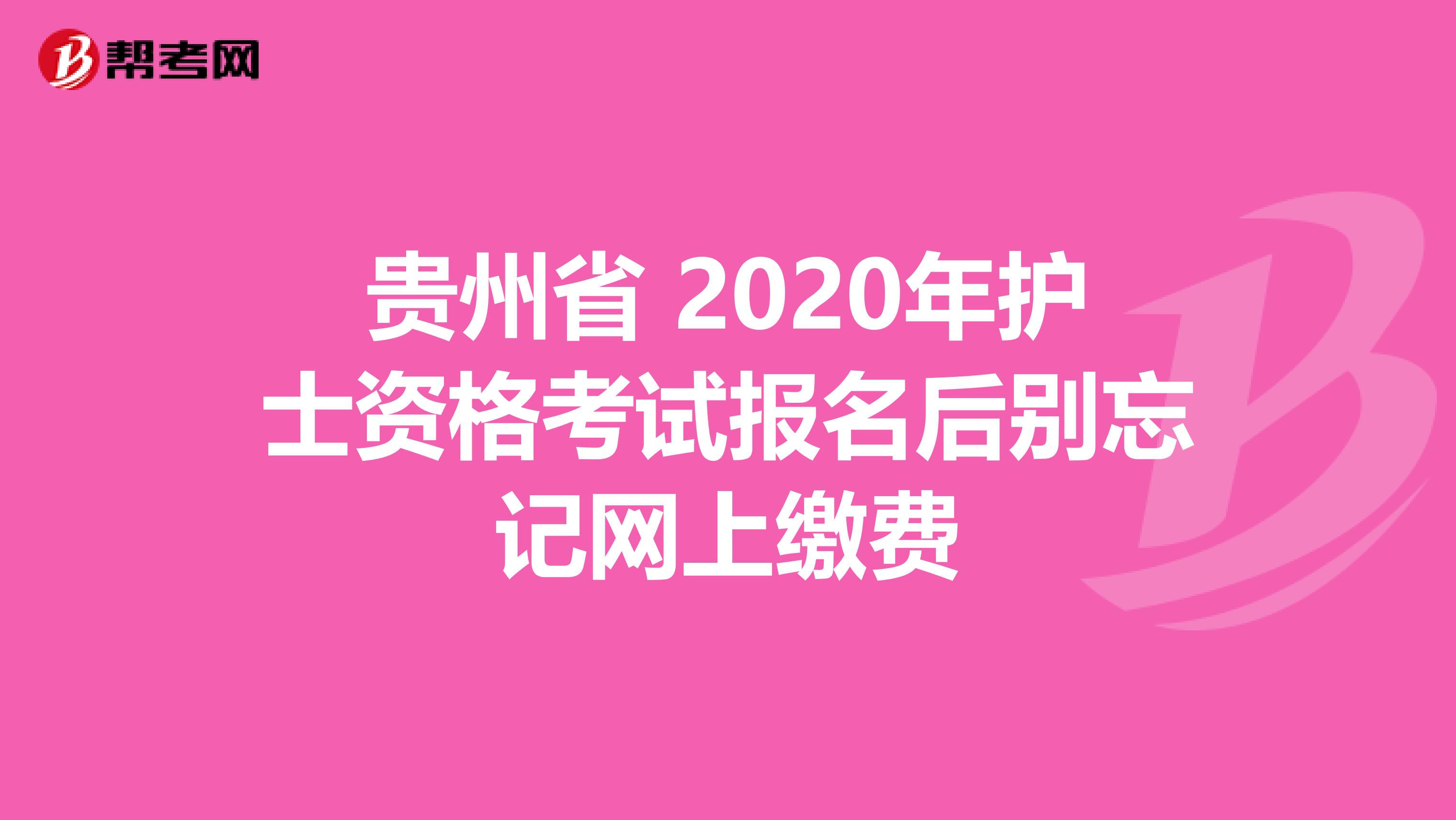 贵州省 2020年护士资格考试报名后别忘记网上缴费