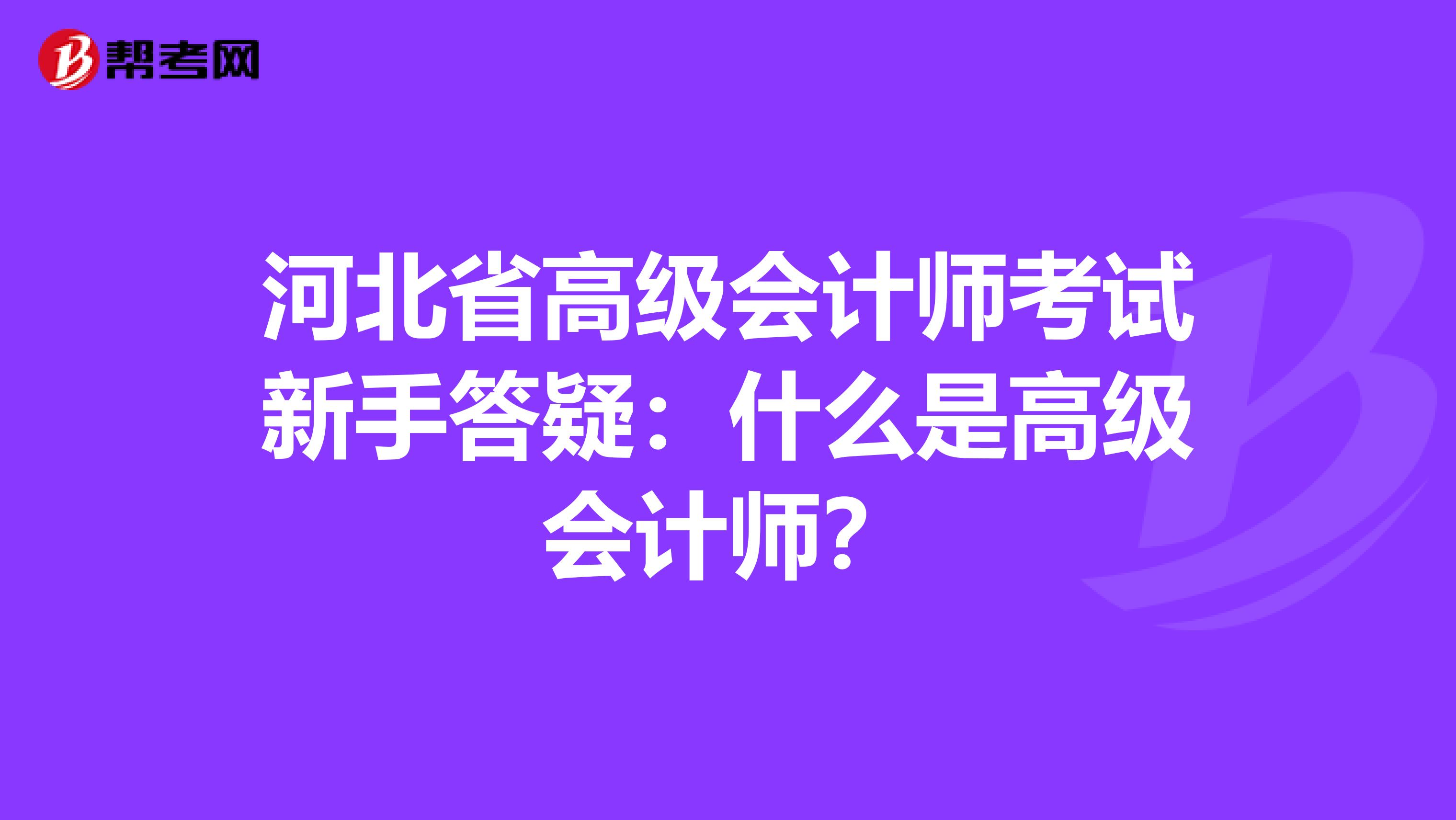 河北省高级会计师考试新手答疑：什么是高级会计师？