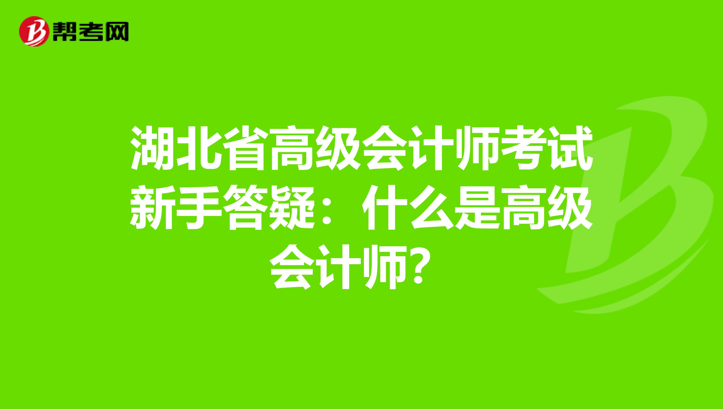 湖北省高级会计师考试新手答疑：什么是高级会计师？