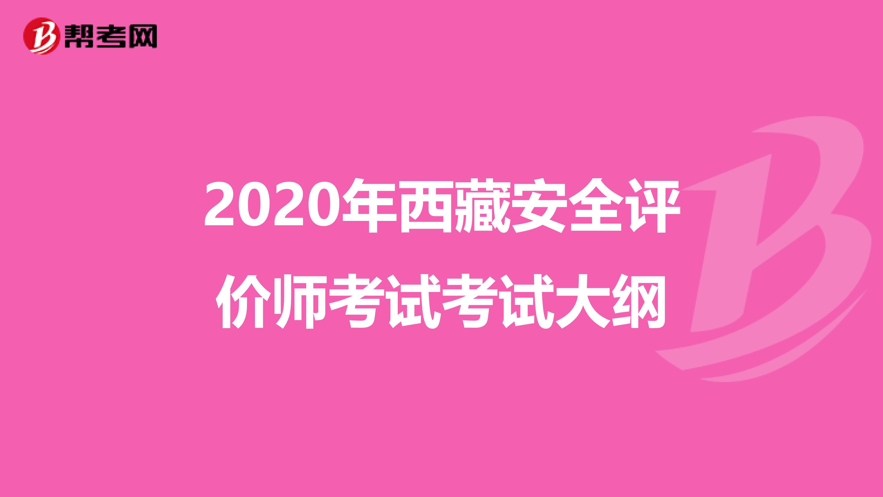 2020年西藏安全评价师考试考试大纲