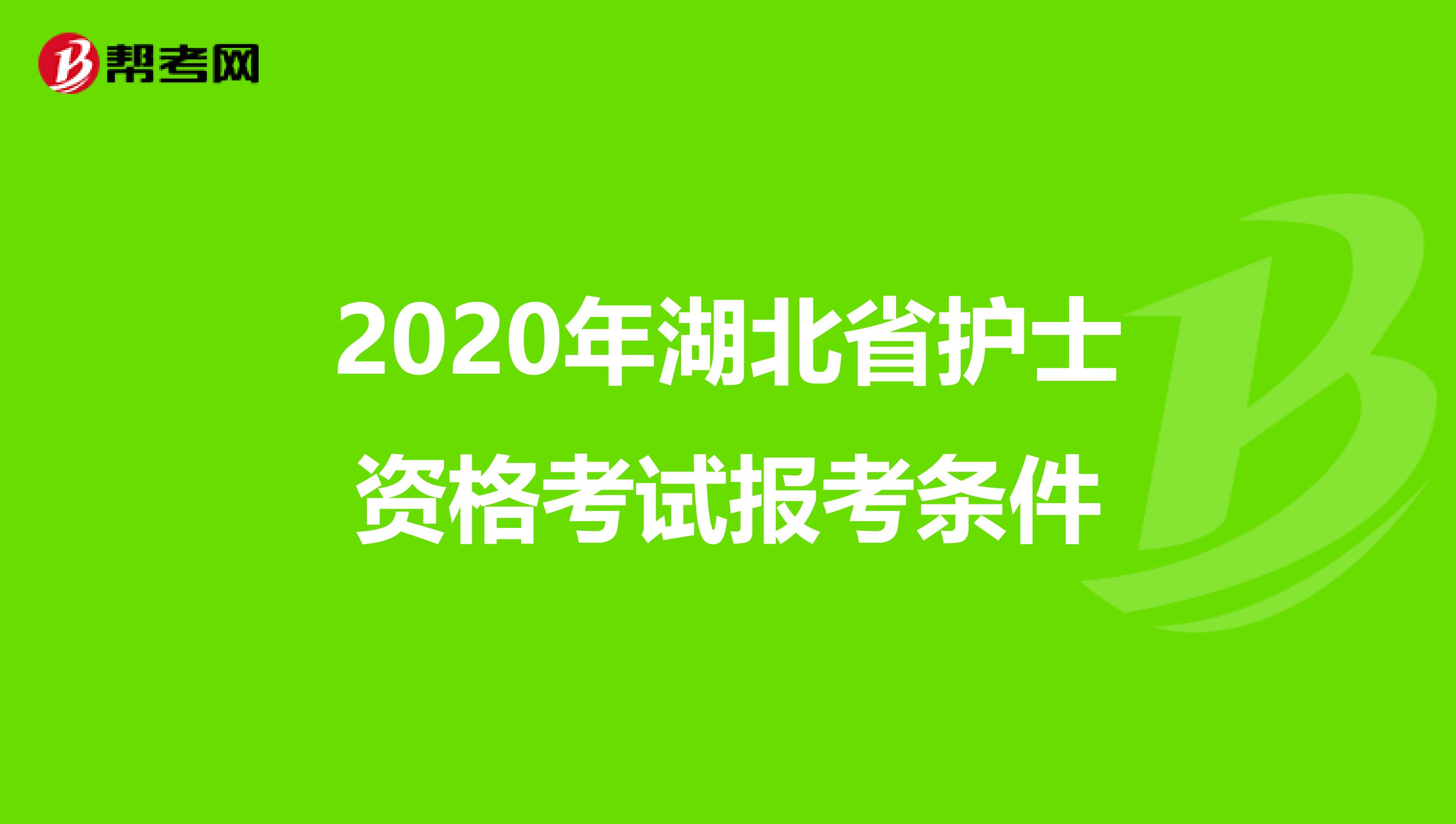 2020年湖北省护士资格考试报考条件