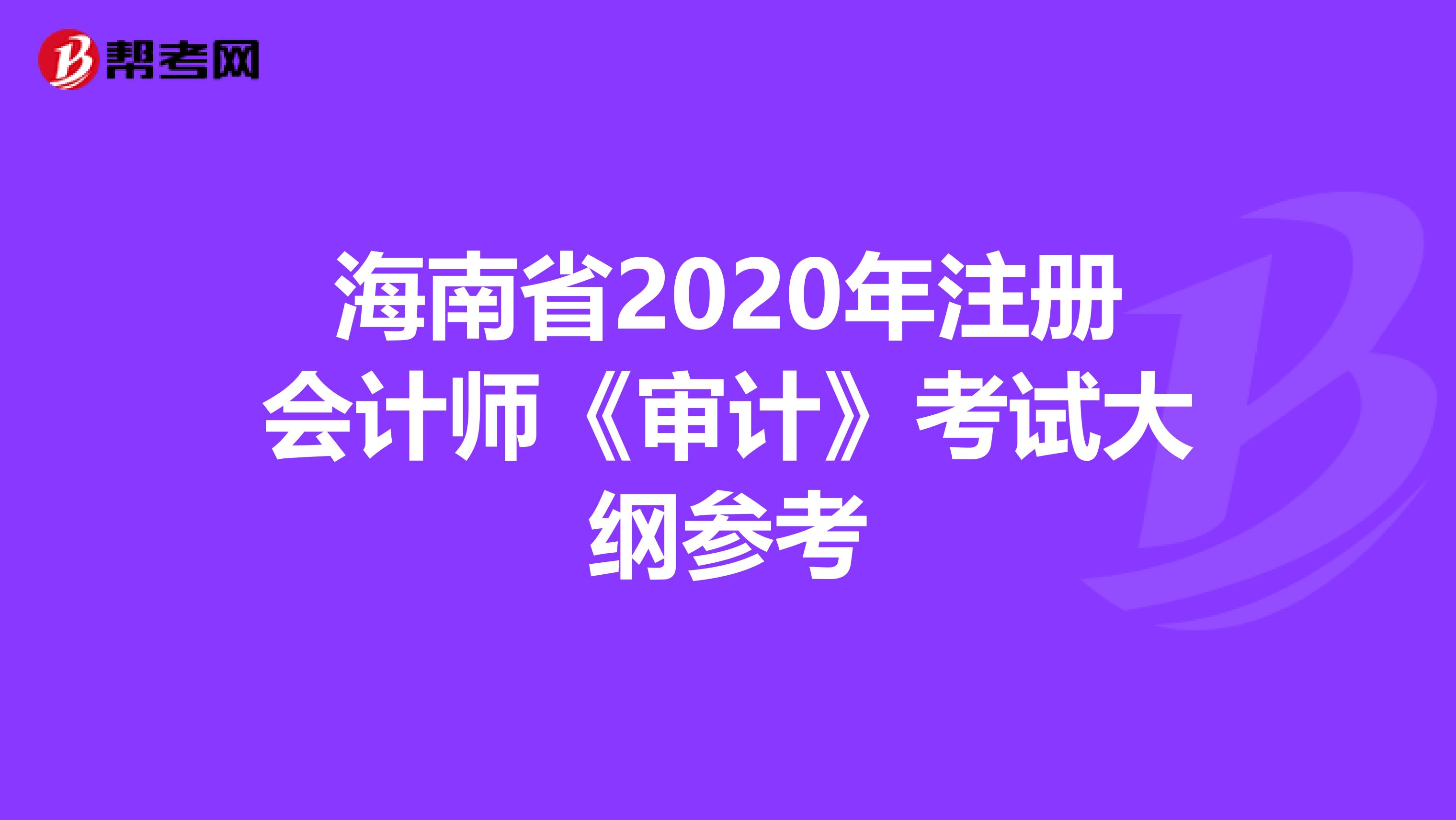 海南省2020年注冊會計師《審計》考試大綱參考