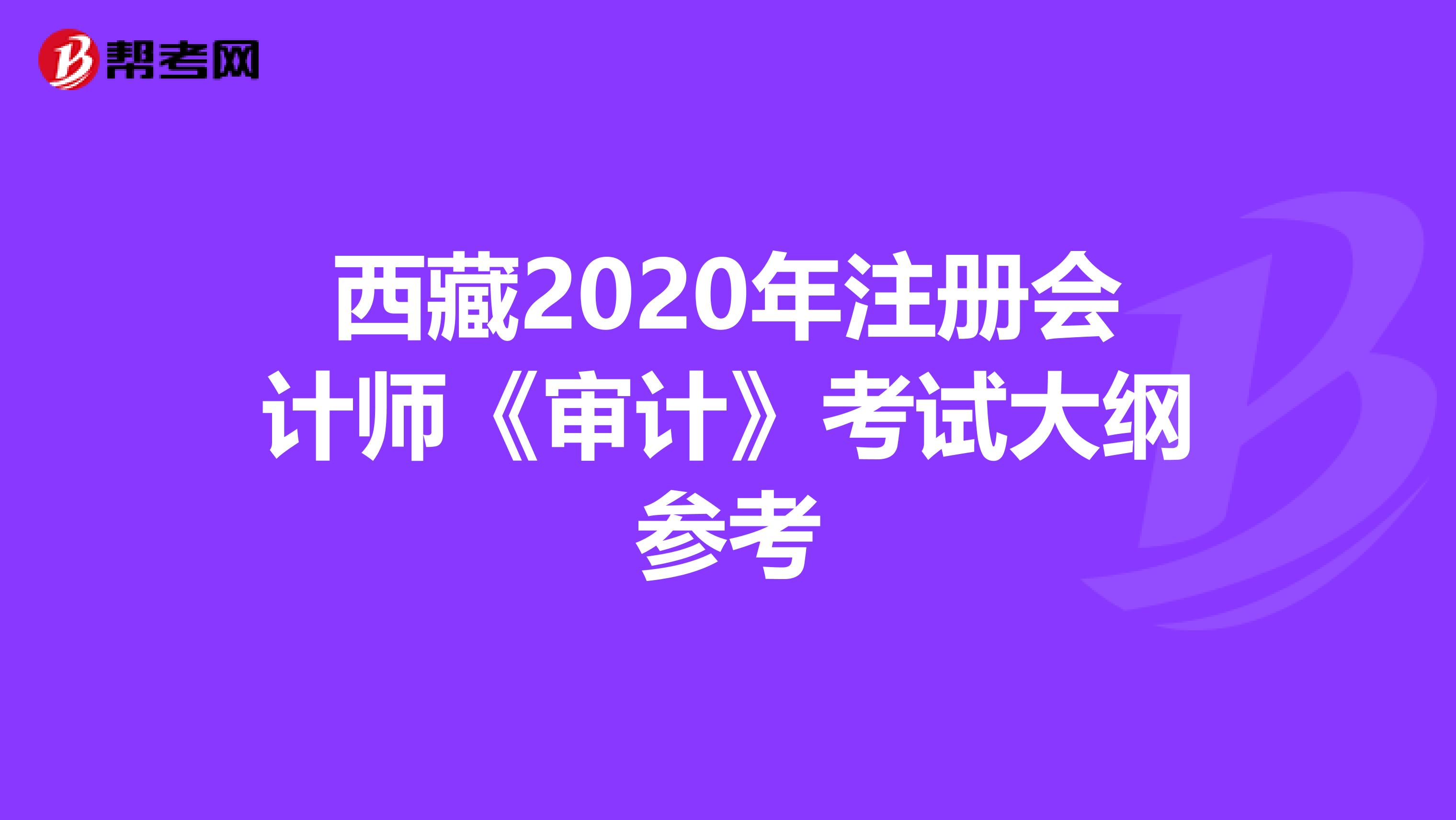 西藏2020年注冊(cè)會(huì)計(jì)師《審計(jì)》考試大綱參考