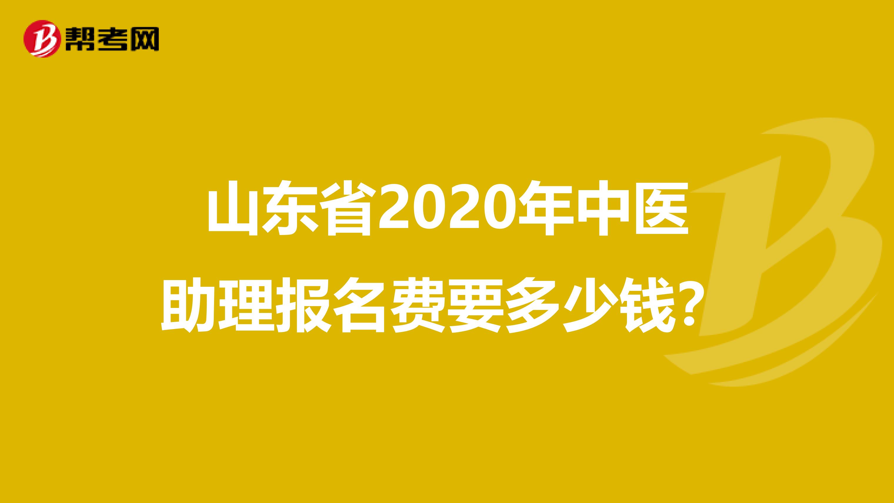 山东省2020年中医助理报名费要多少钱？