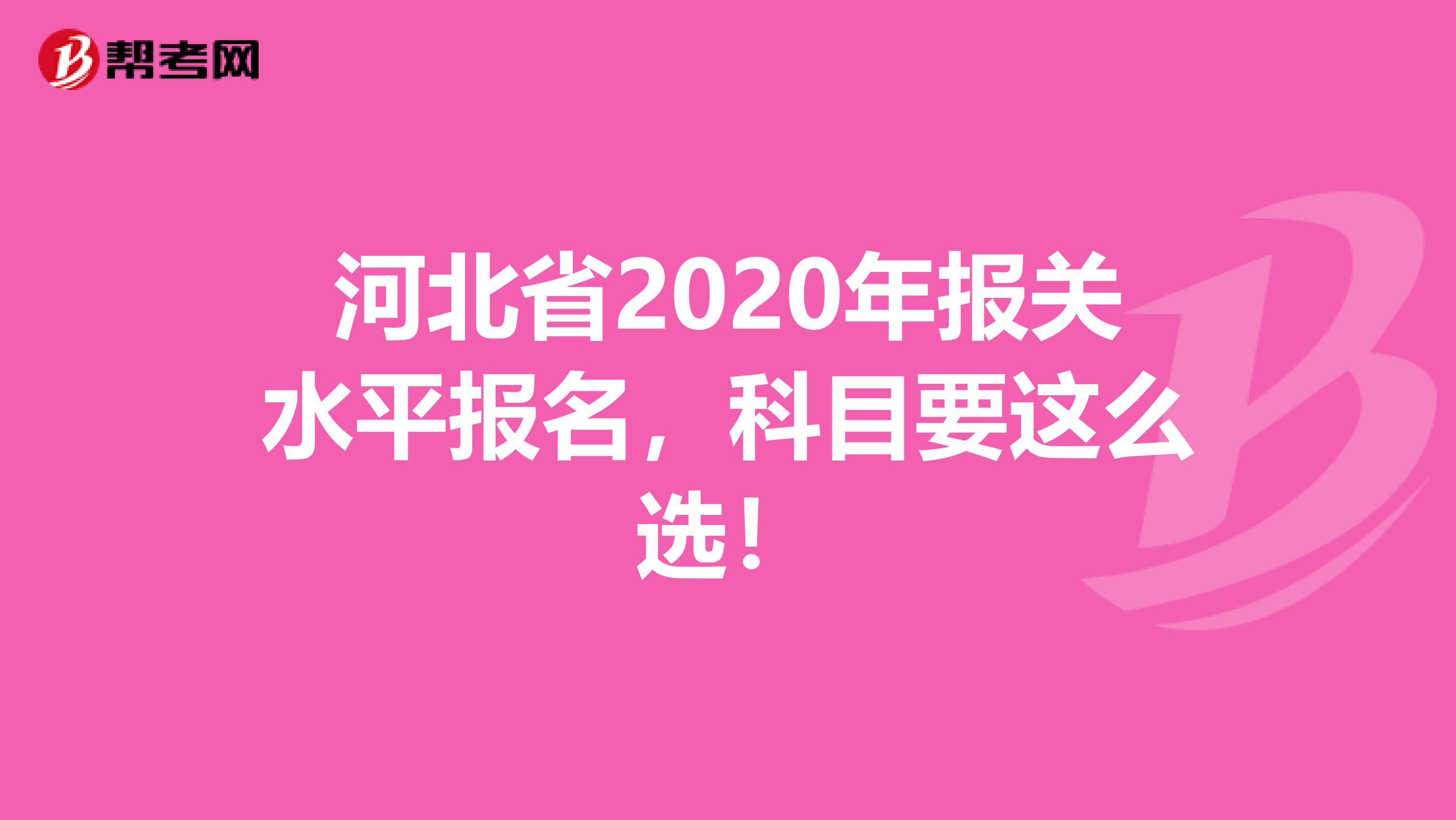 河北省2020年报关水平报名，科目要这么选！
