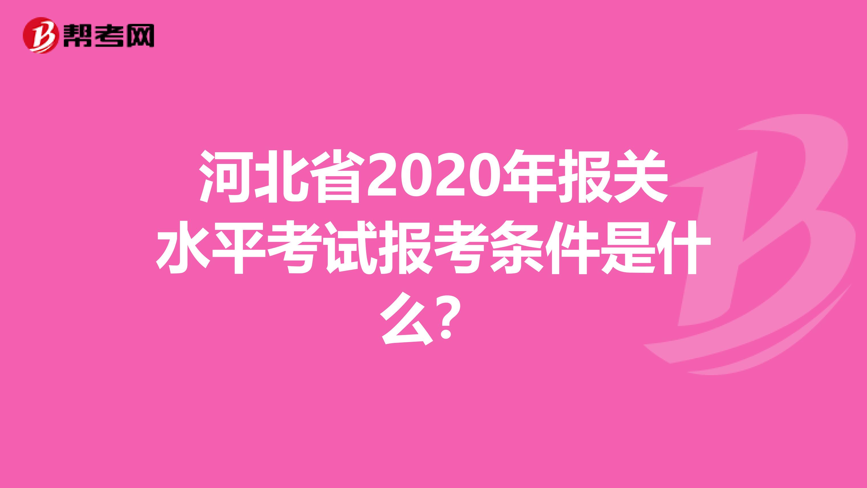 河北省2020年报关水平考试报考条件是什么？