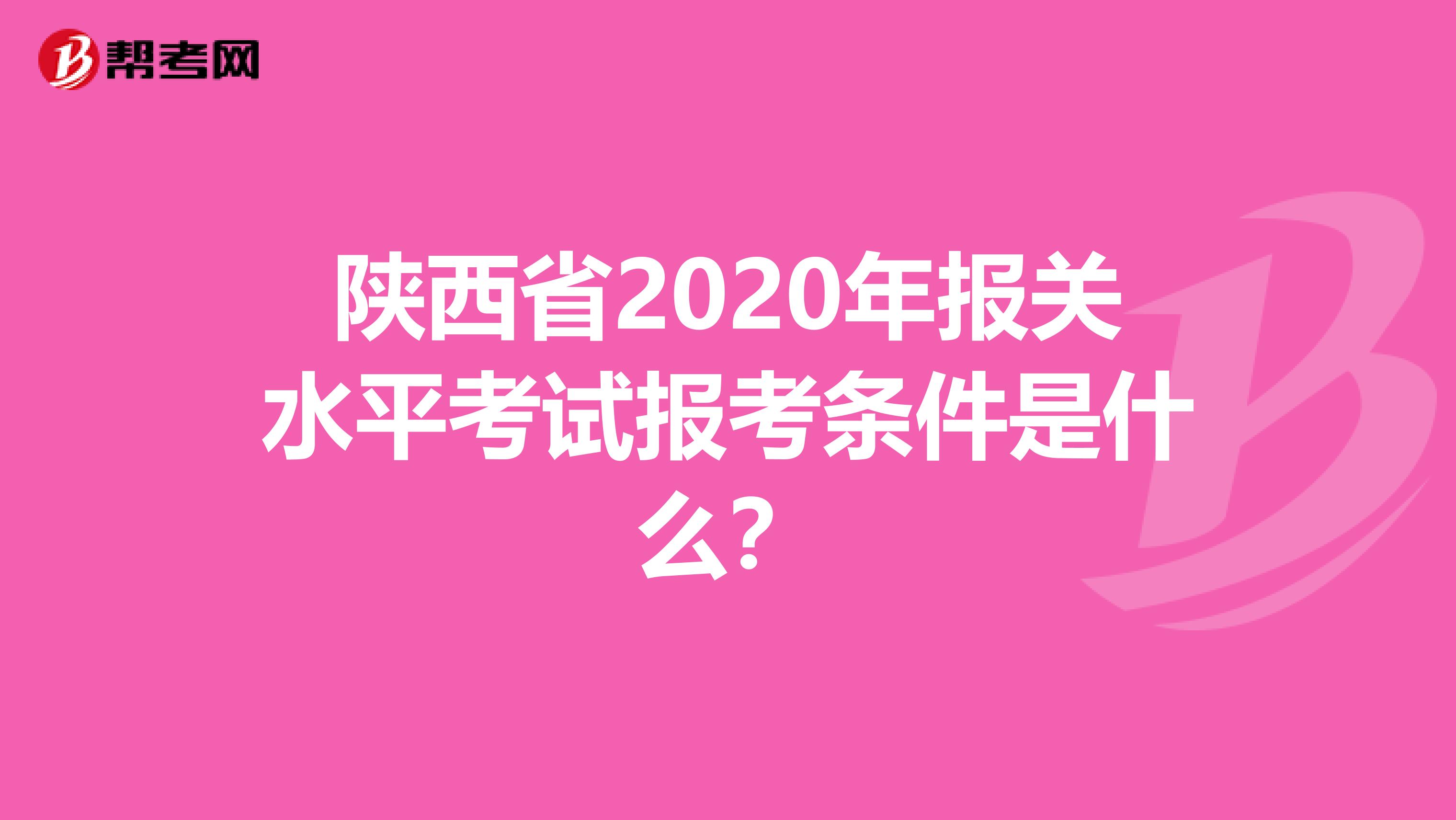 陕西省2020年报关水平考试报考条件是什么？