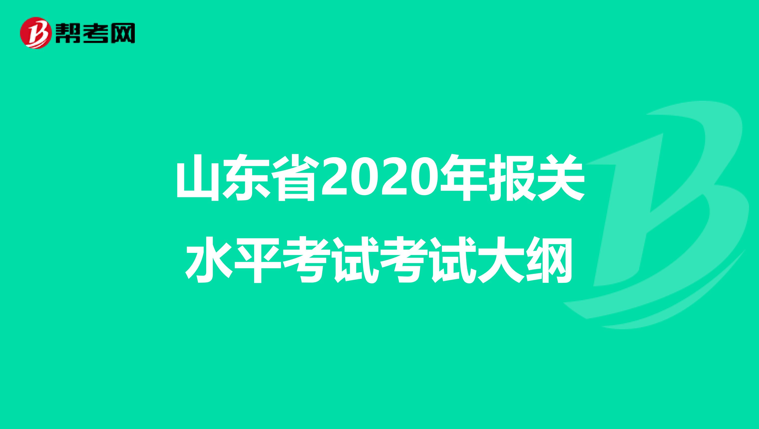 山东省2020年报关水平考试考试大纲