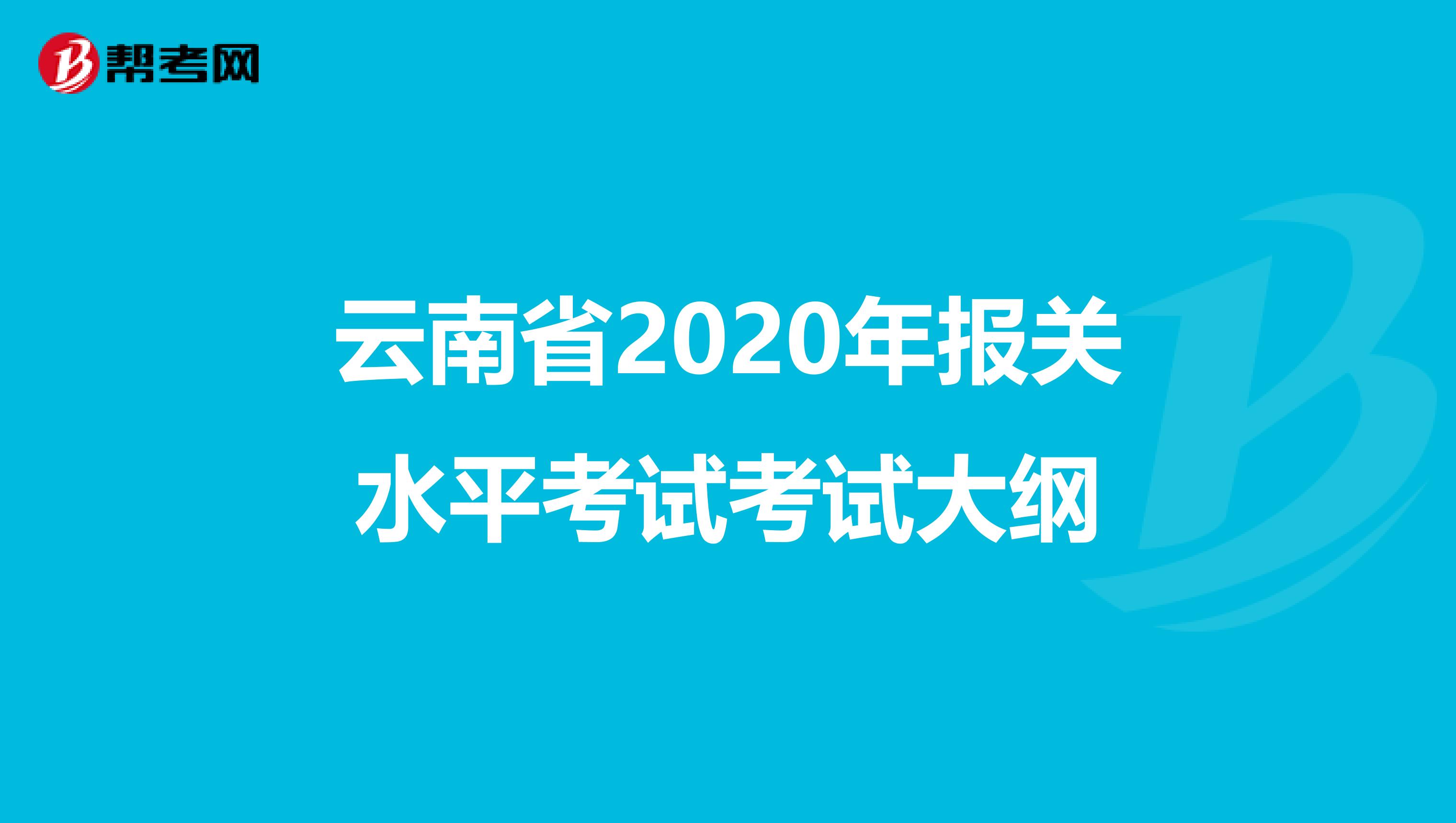 云南省2020年報關(guān)水平考試考試大綱