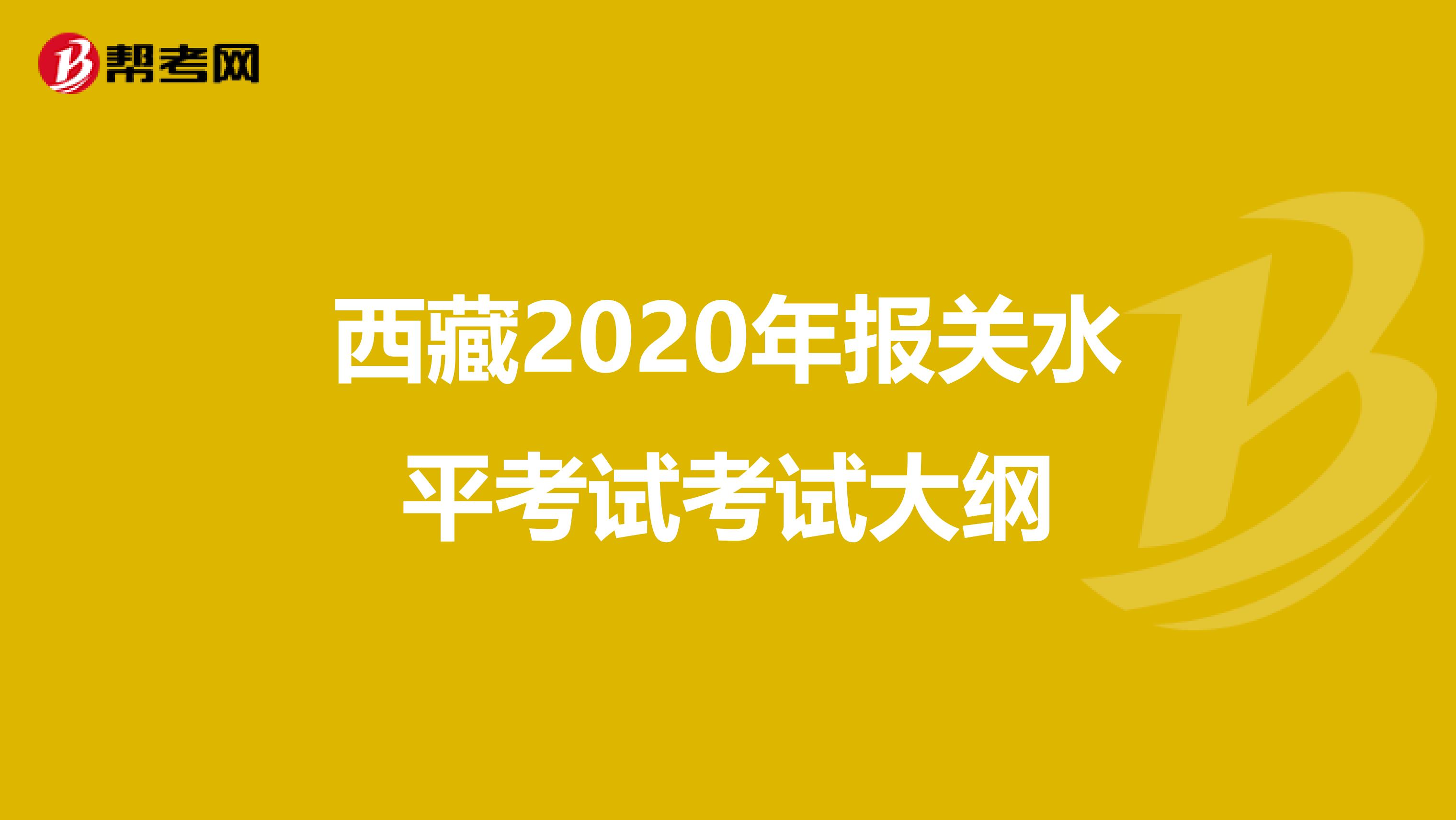 西藏2020年报关水平考试考试大纲